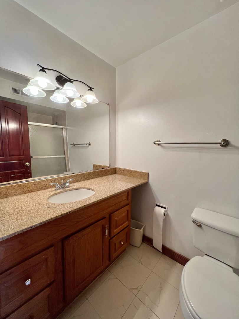 2131 South Archer Avenue, Unit 306 Chicago, IL 60616 - Photo 8 of 15 a bathroom with a granite countertop sink a large mirror and toilet