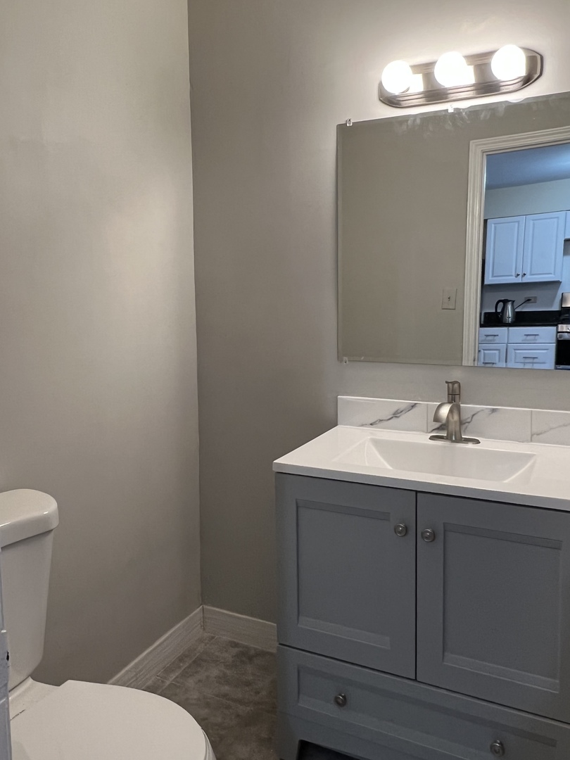 2131 South Archer Avenue, Unit 306 Chicago, IL 60616 - Photo 10 of 15 a bathroom with a sink toilet and a mirror