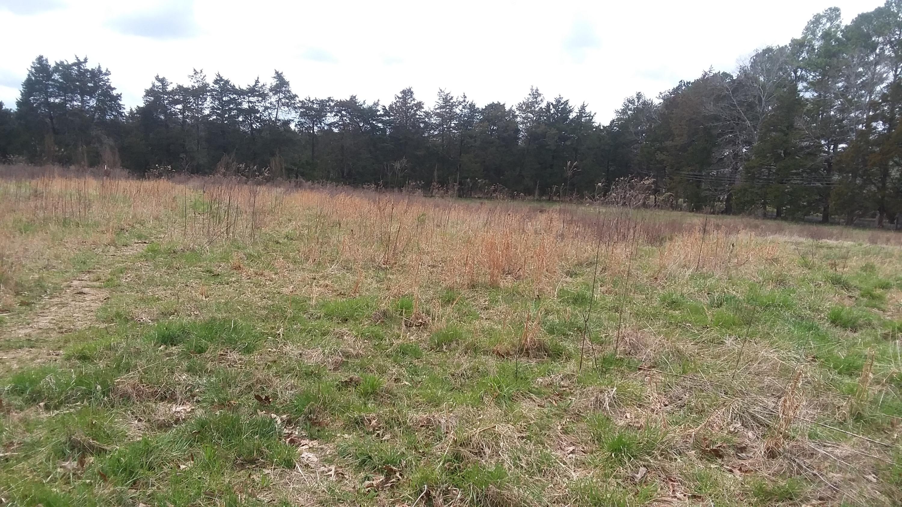 9012 Raydoe Road Ooltewah, TN 37363 - Photo 11 of 14 20200311_130603