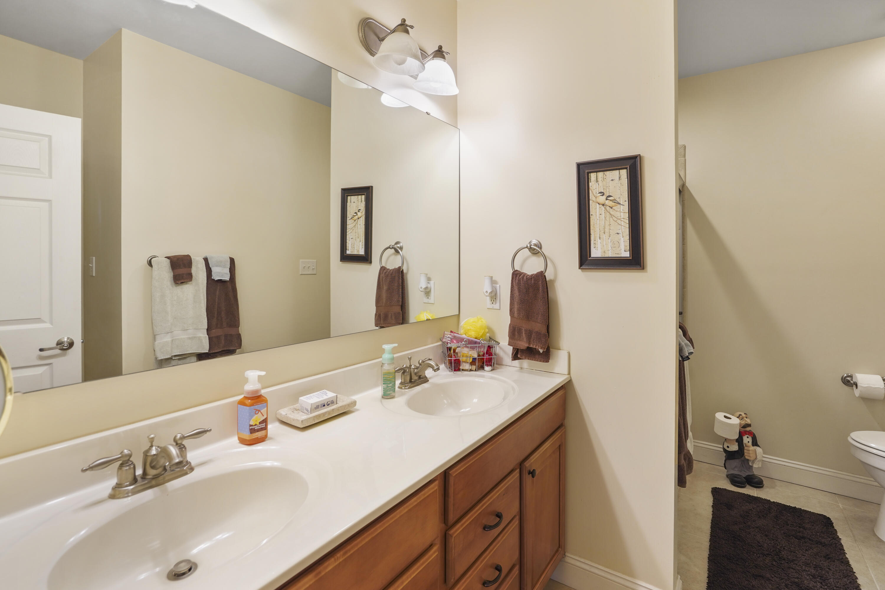 544 Wood Brook Road Moneta, VA 24121 - Photo 35 of 66 a bathroom with a sink a toilet and mirror
