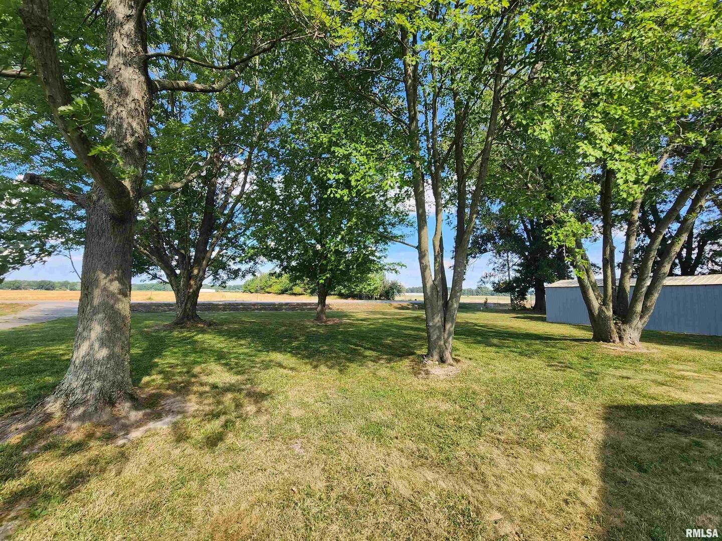 10107 Sugar Creek Road Benton, IL 62812 - Photo 33 of 43 a view of backyard with tree