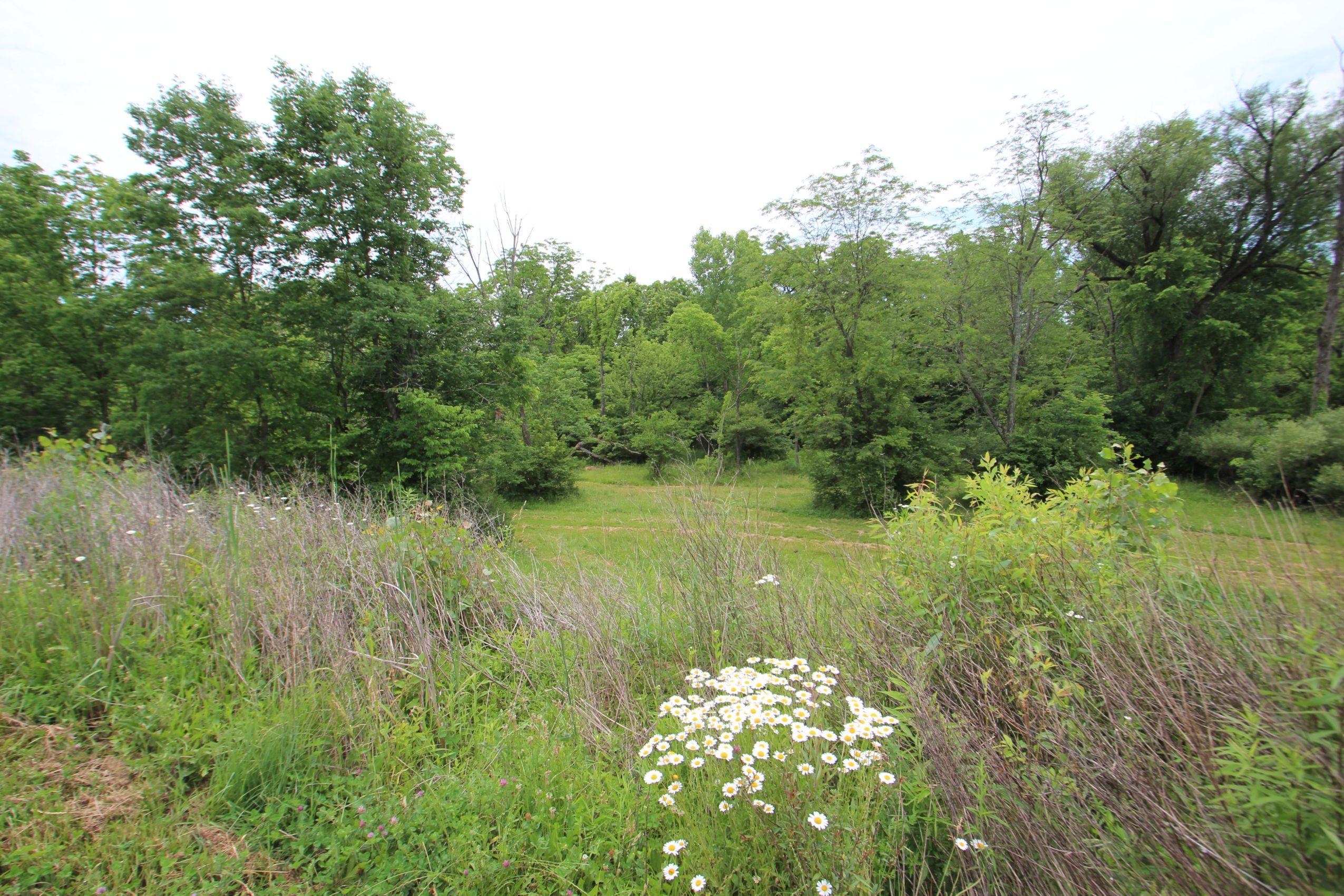 0 Pollock Road Delaware, OH 43015 - Photo 14 of 19