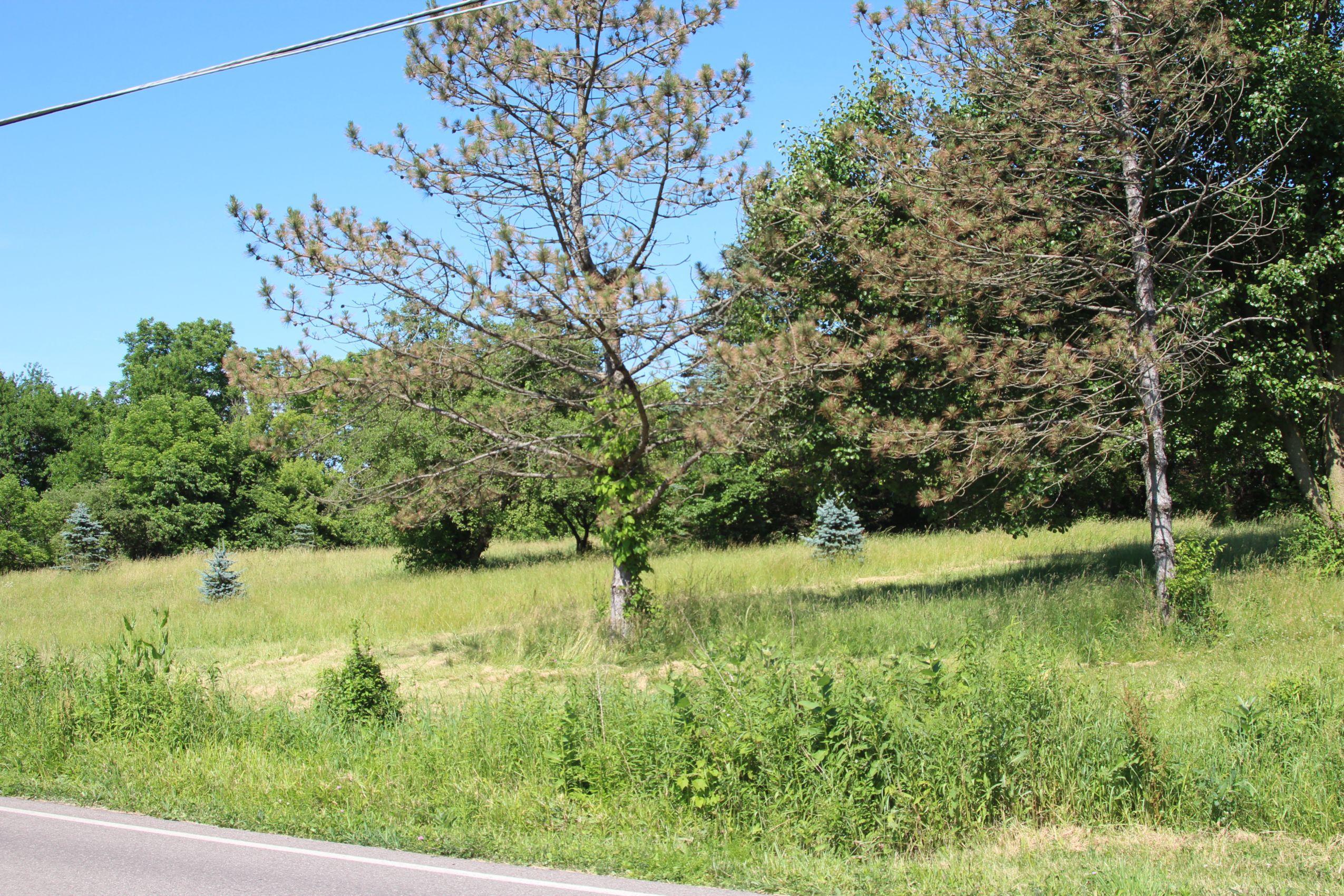 0 Pollock Road Delaware, OH 43015 - Photo 6 of 19