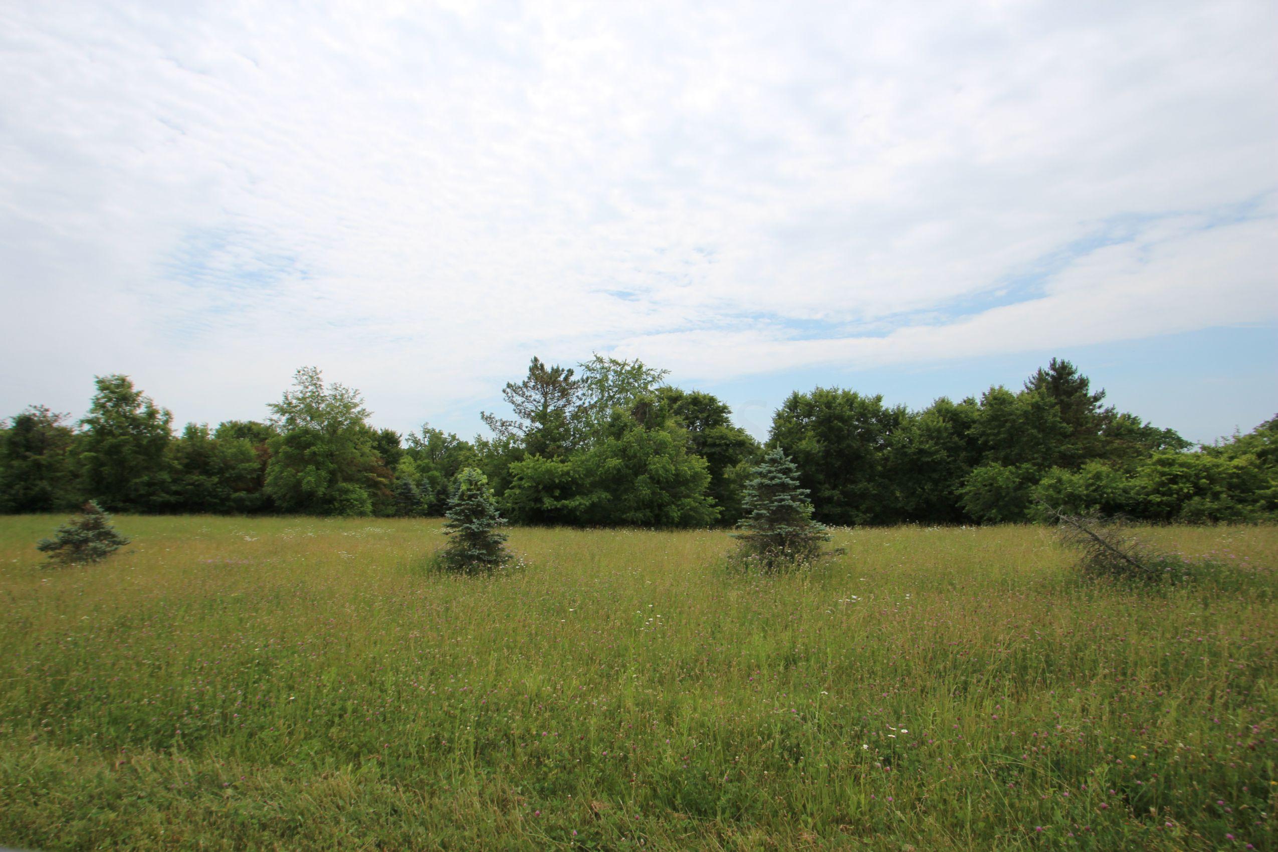 0 Pollock Road Delaware, OH 43015 - Photo 8 of 19