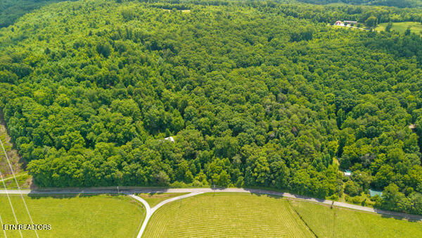 1913 Dry Fork Valley Road Philadelphia, TN 37846 - Photo 7 of 12 IMG_5761
