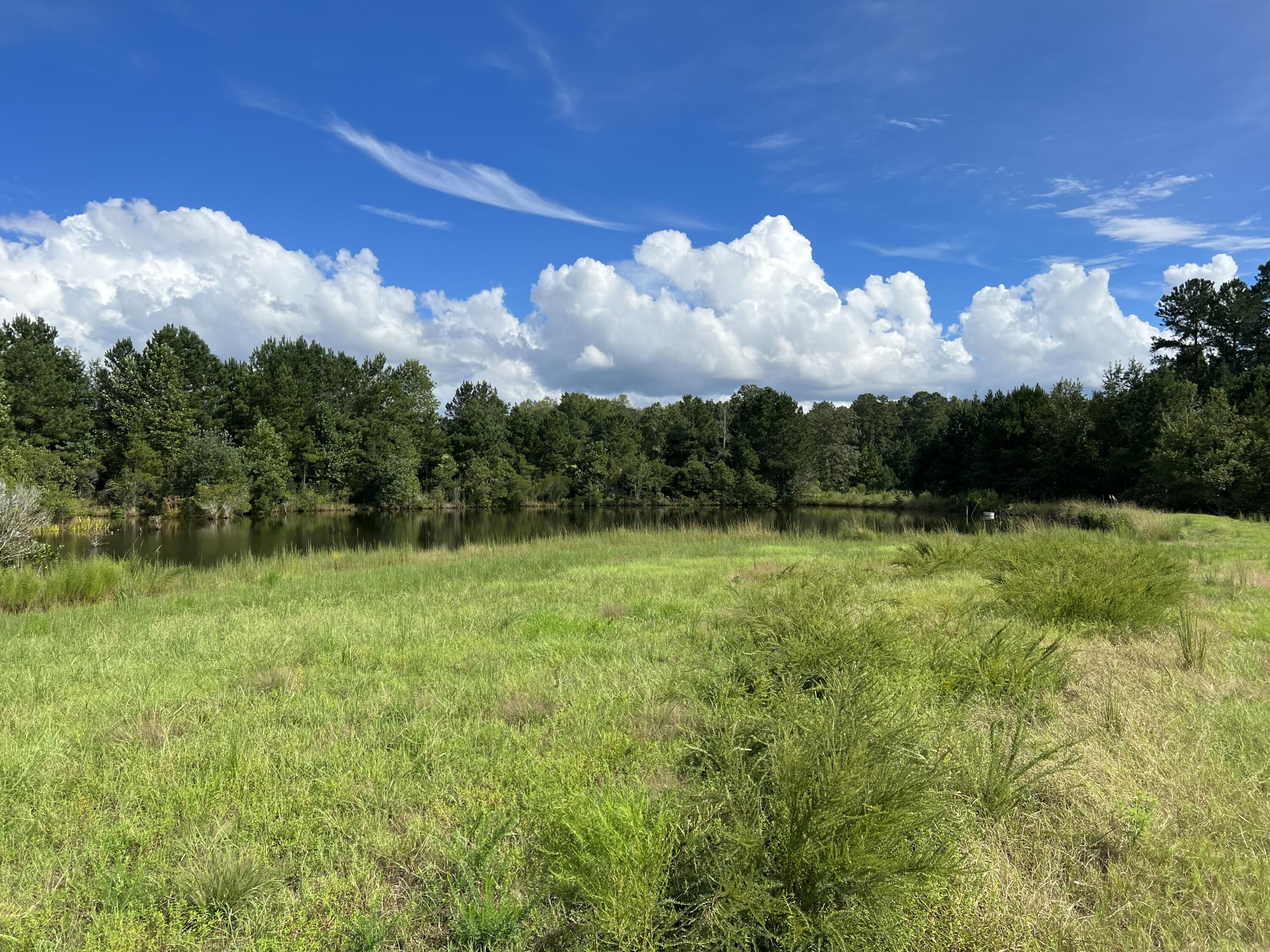 0 Flowing Well Road Wagener, SC 29164 - Photo 15 of 19