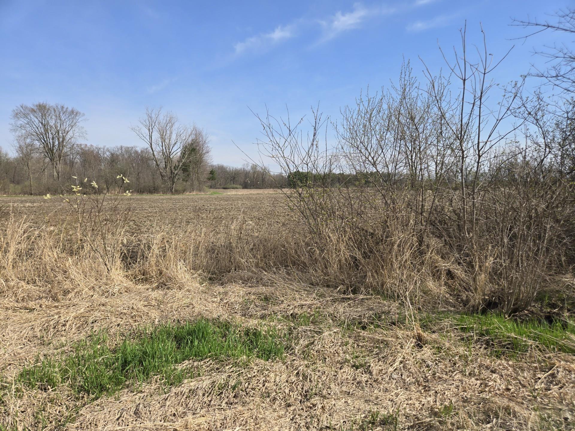 0 Weber (lot B) Road Columbus, MI 48063 - Photo 8 of 14