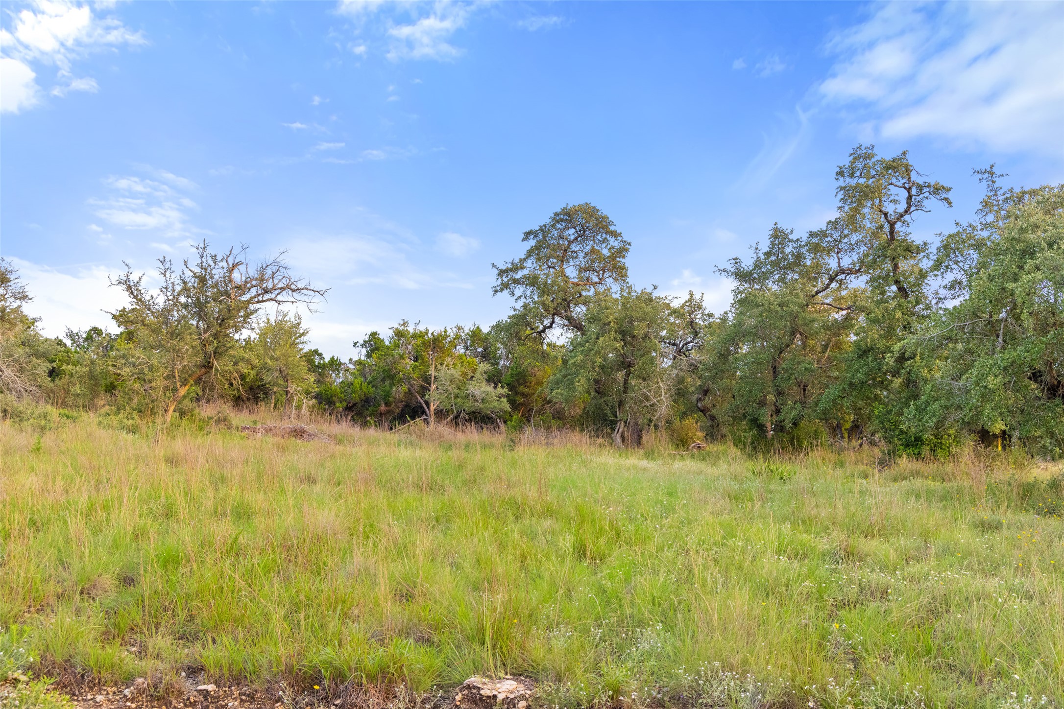 31860 Mirela Ann Road Dripping Springs, TX 78620 - Photo 7 of 20