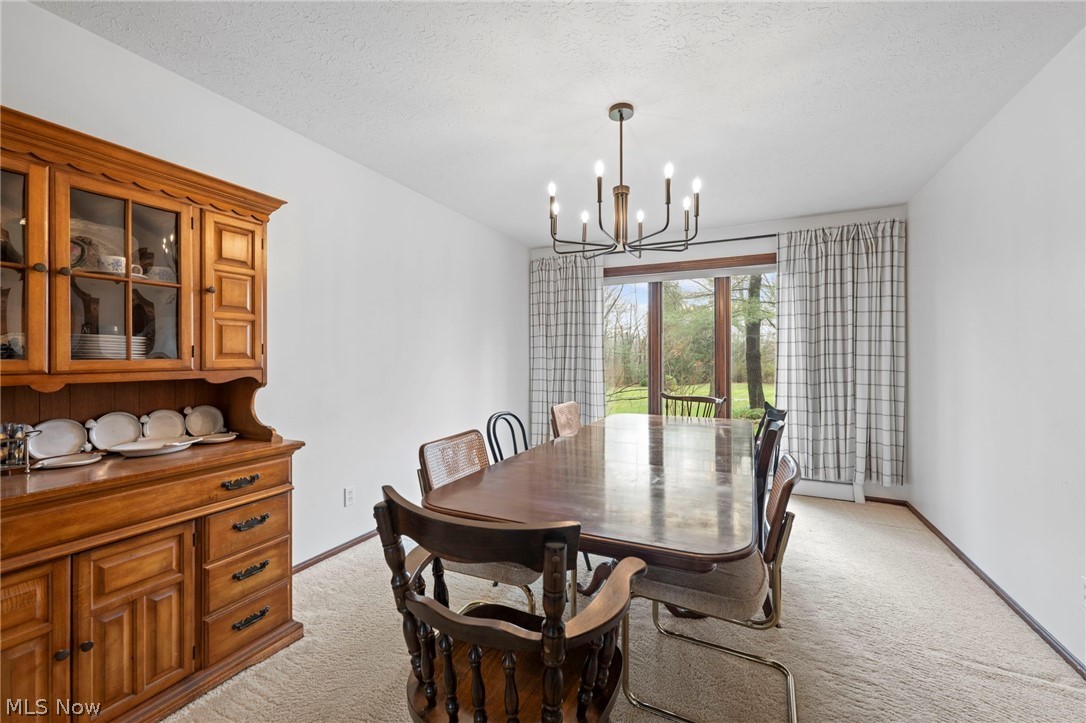 10889 Wilson Mills Road Chardon, OH 44024 - Photo 6 of 50