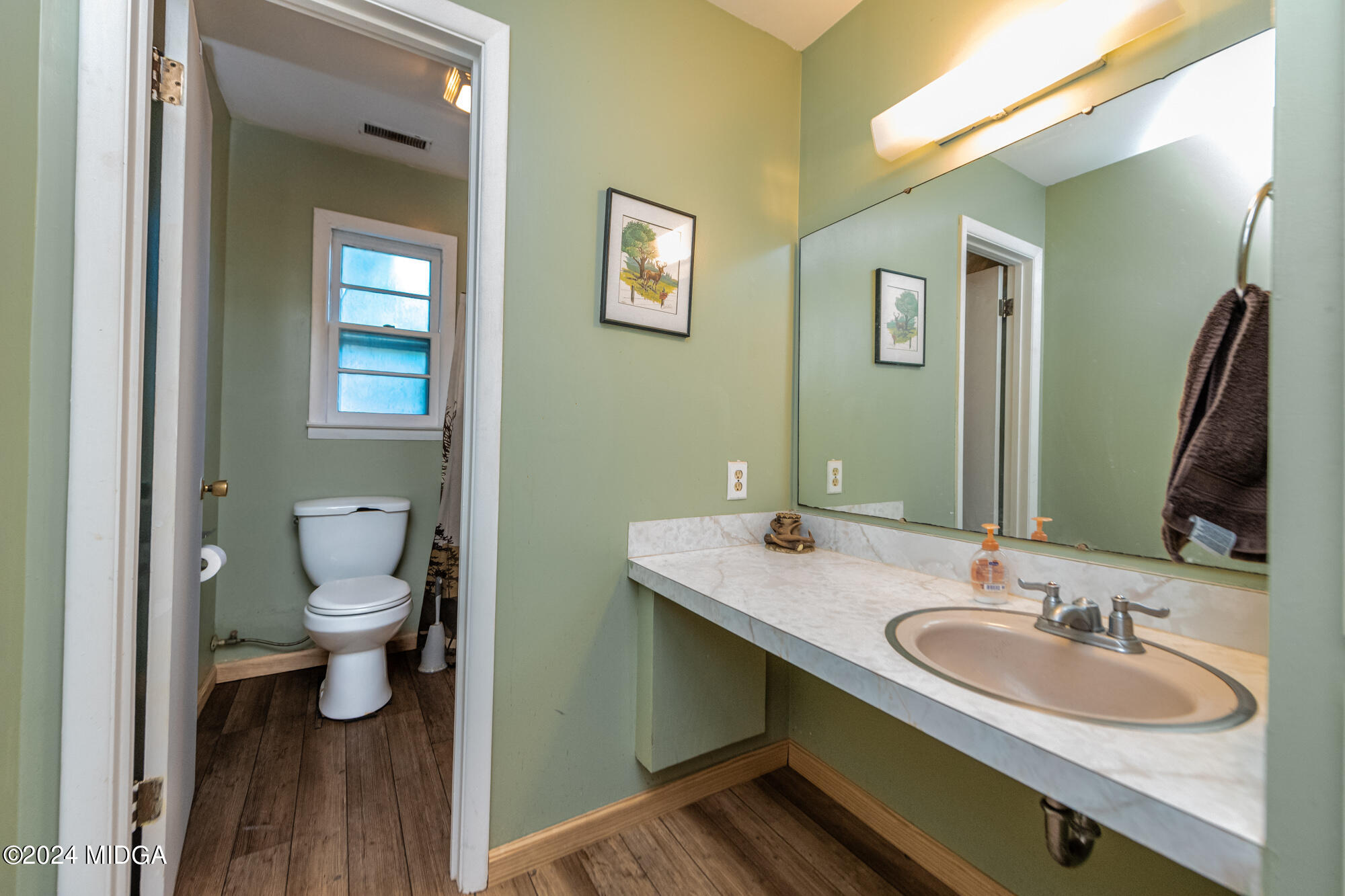 694 Cumslo Road Gray, GA 31032 - Photo 8 of 17 a bathroom with a toilet a sink and mirror
