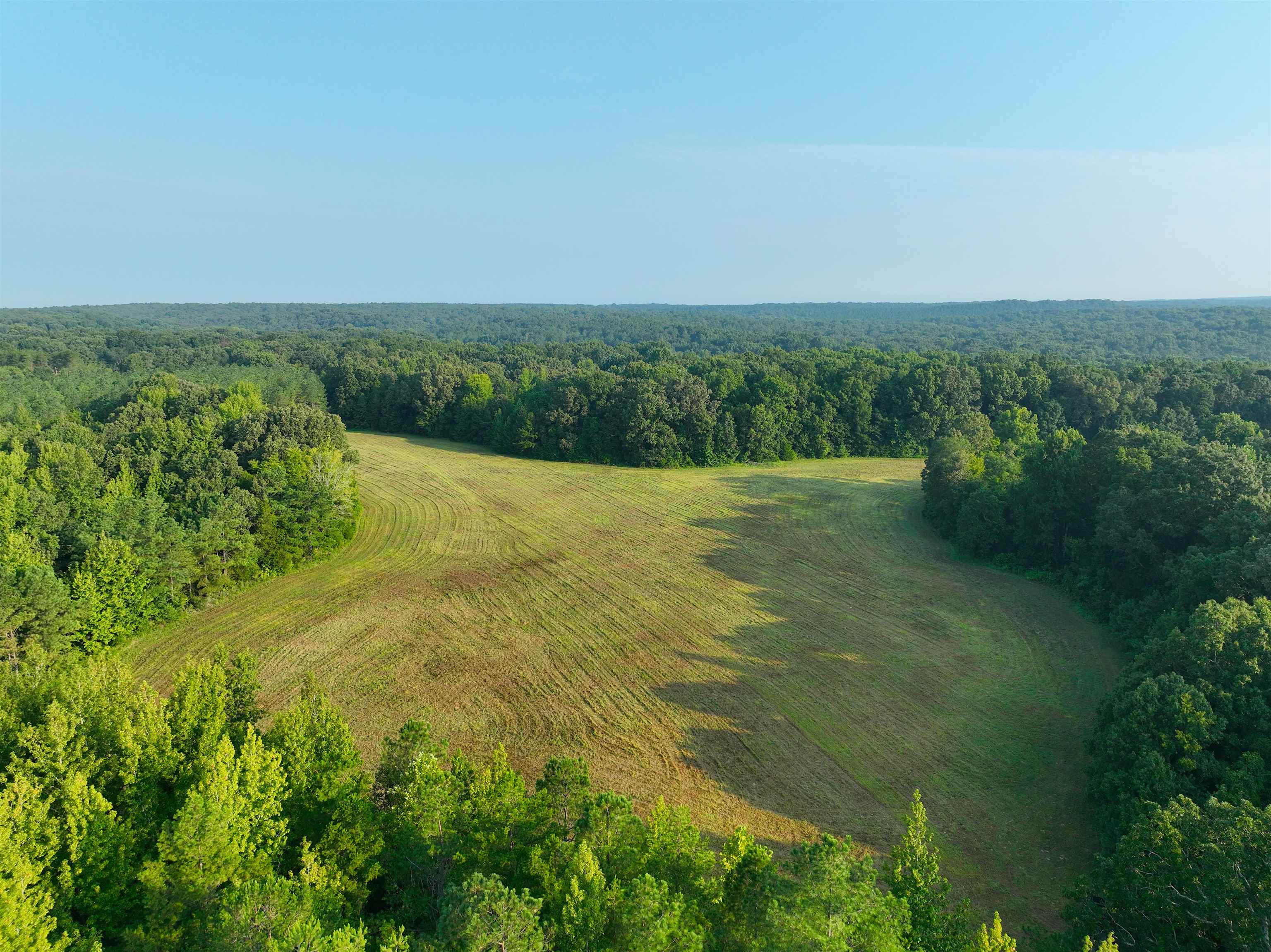 2530 West Fork Road Grand Junction, TN 38039 - Photo 31 of 40 Gallery Image 31