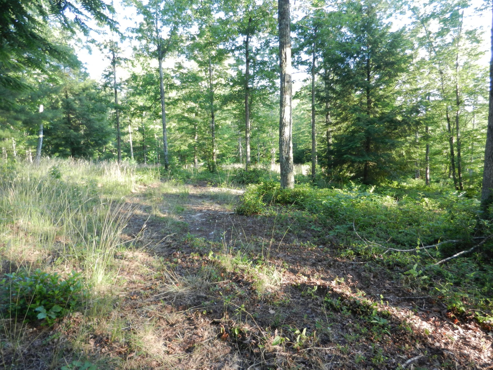12 Toomey Falls Road Oneida, TN 37841 - Photo 5 of 14 Gallery Image 5