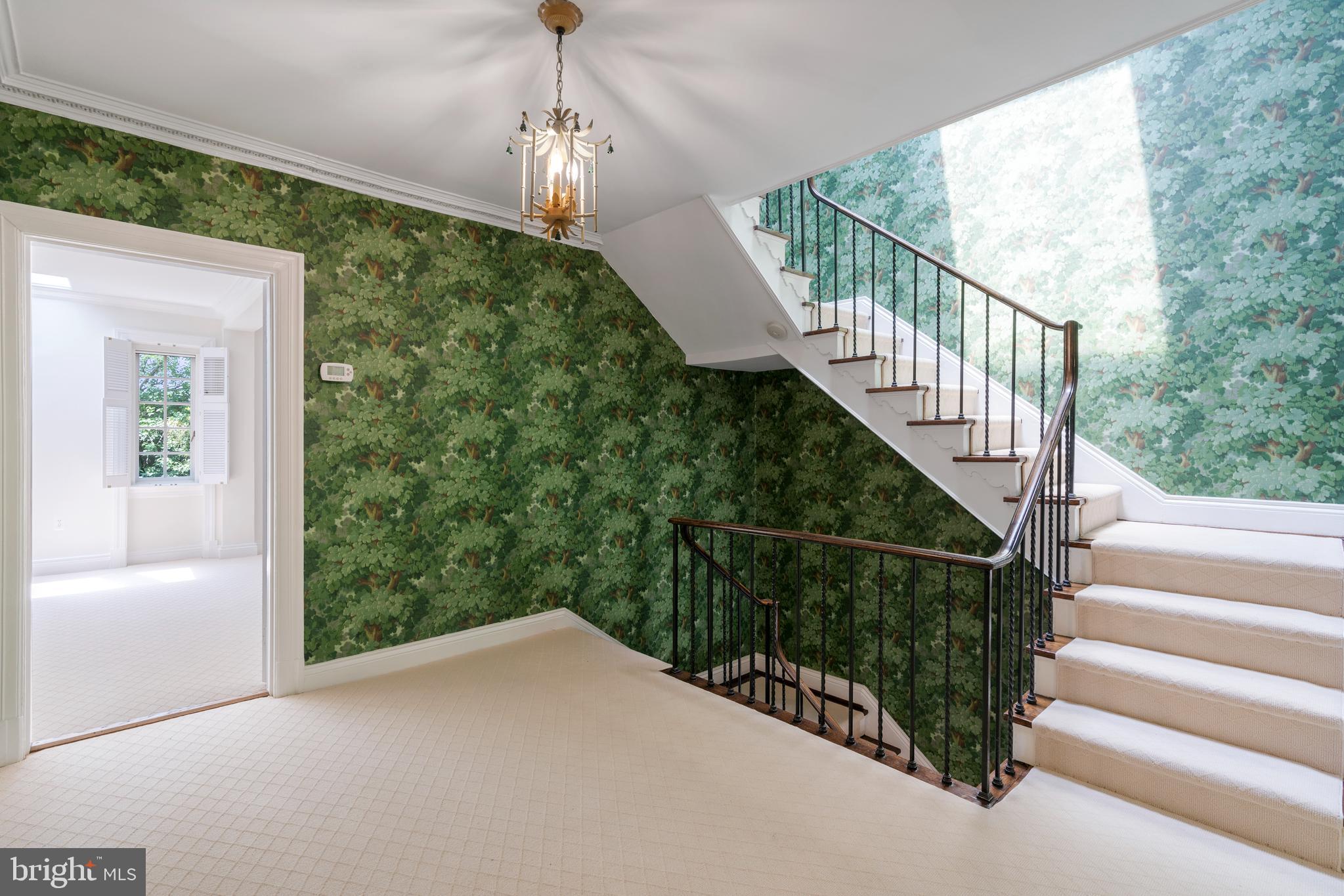 2428 Tracy Place Northwest Washington, DC 20008 - Photo 28 of 49