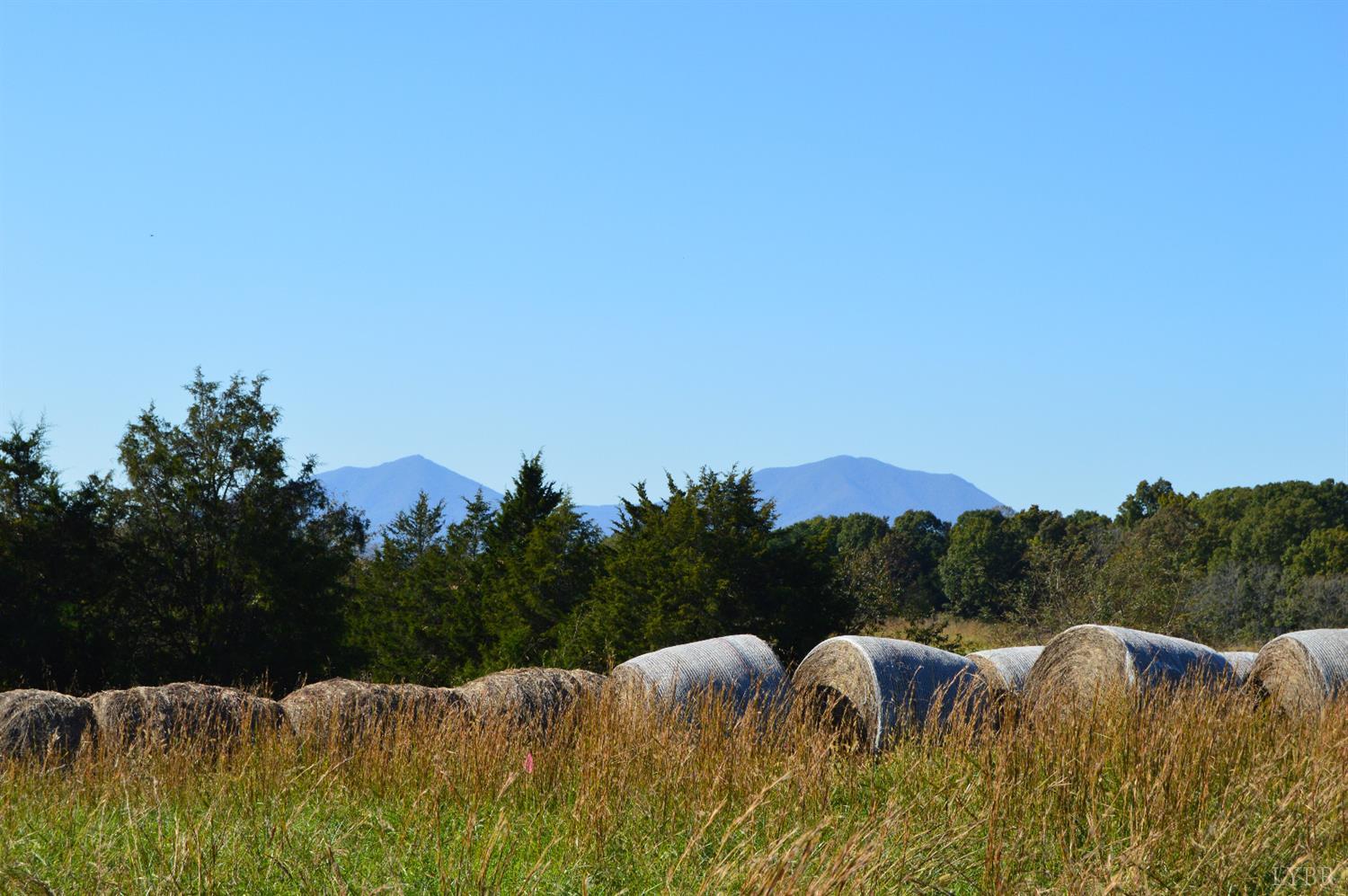 a view of a bunch of trees in background