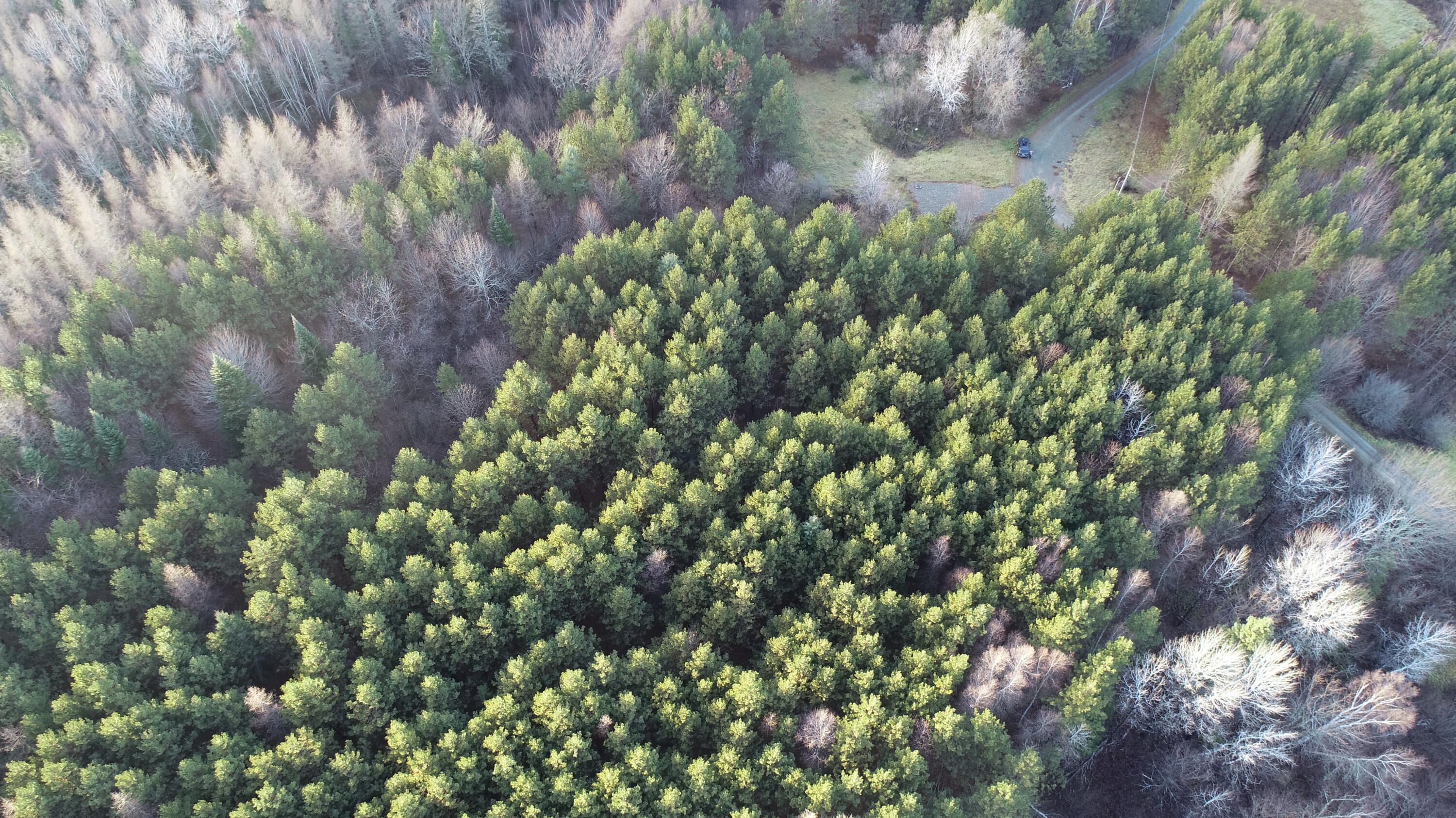 1155 Ferry Road Bancroft, ME 04497 - Photo 52 of 64 DJI_0465