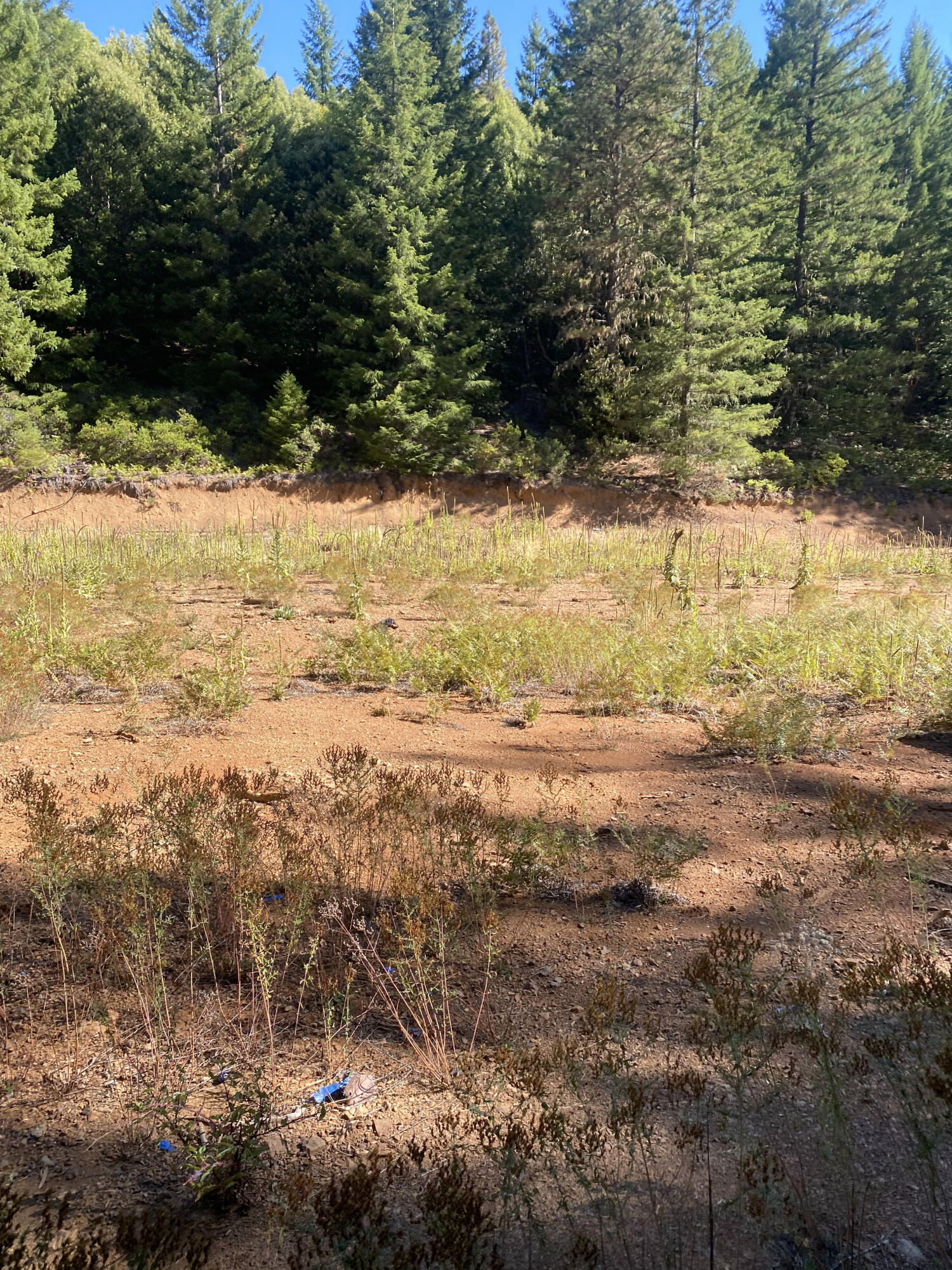 1780 Mcdonald Creek Road Burnt Ranch, CA 95527 - Photo 30 of 58