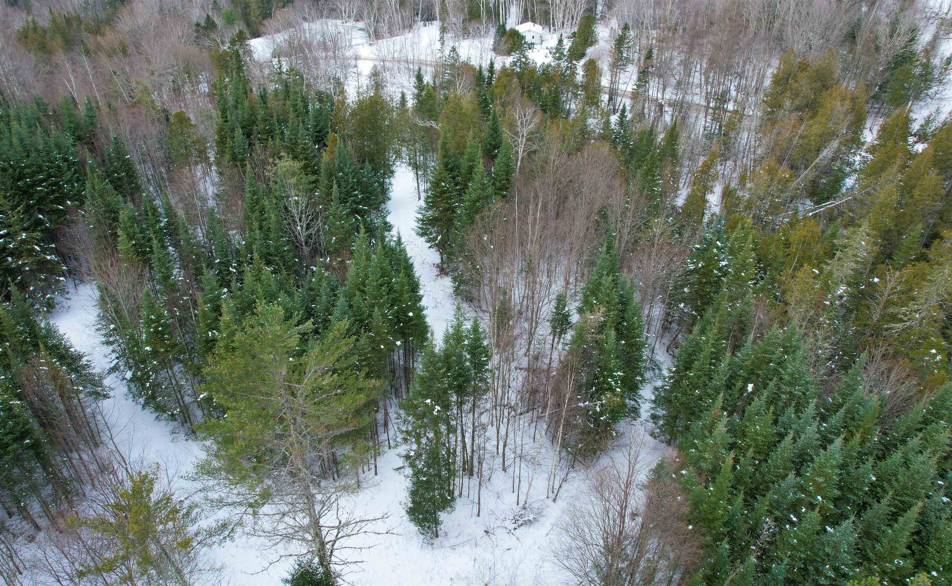 0 Oneida Road Danville, VT 05828 - Photo 11 of 14