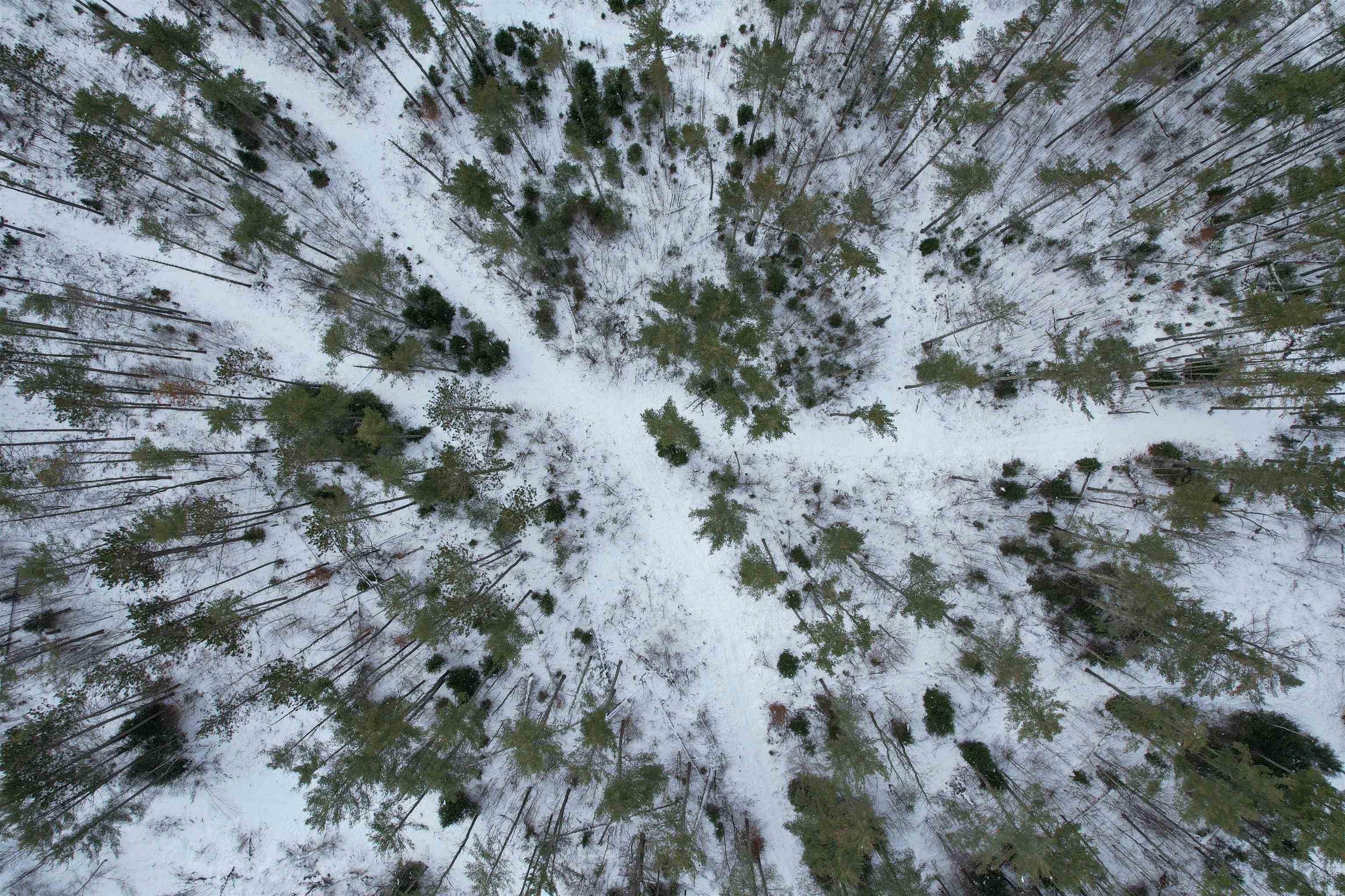 0 Oneida Road Danville, VT 05828 - Photo 12 of 14