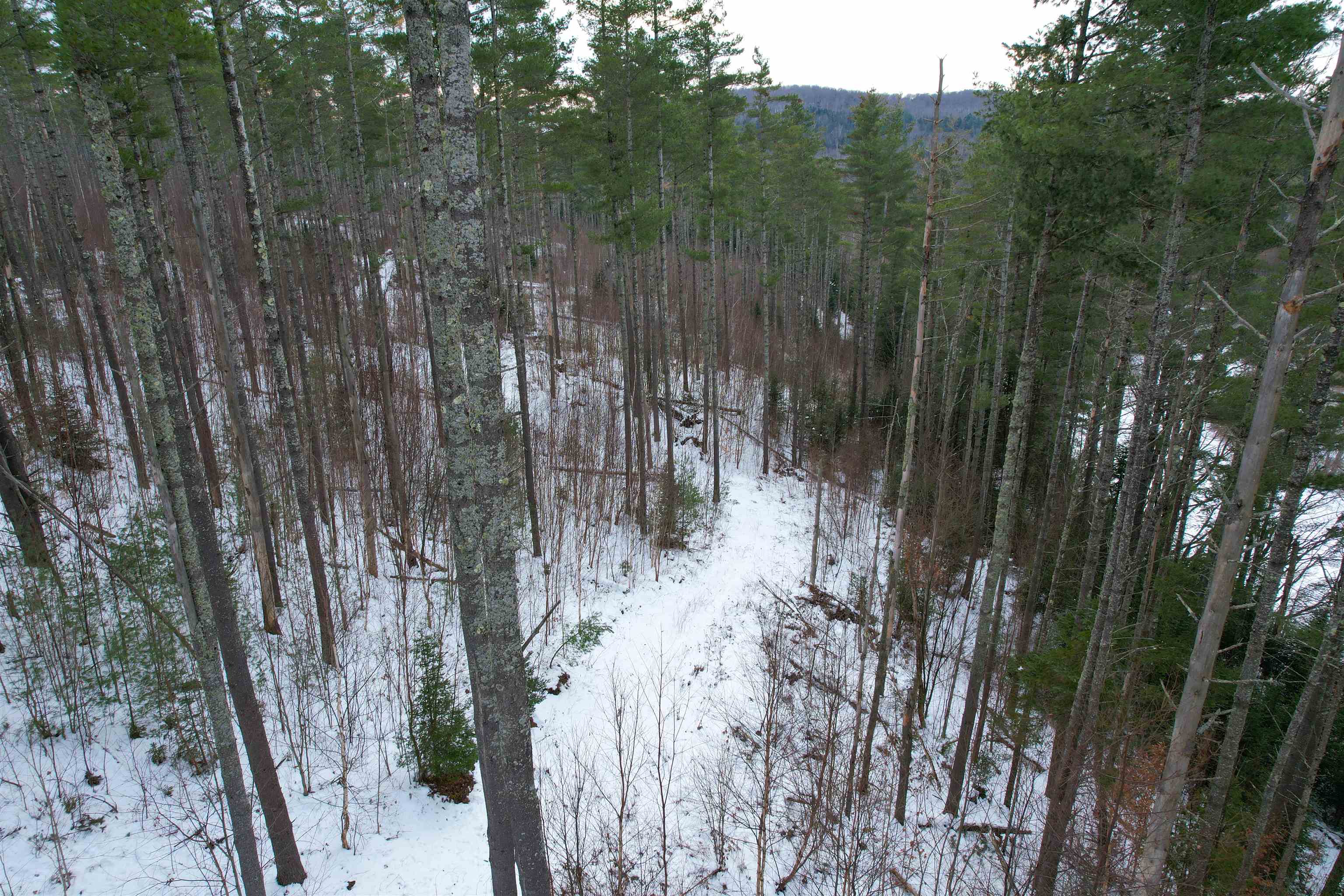 0 Oneida Road Danville, VT 05828 - Photo 3 of 14