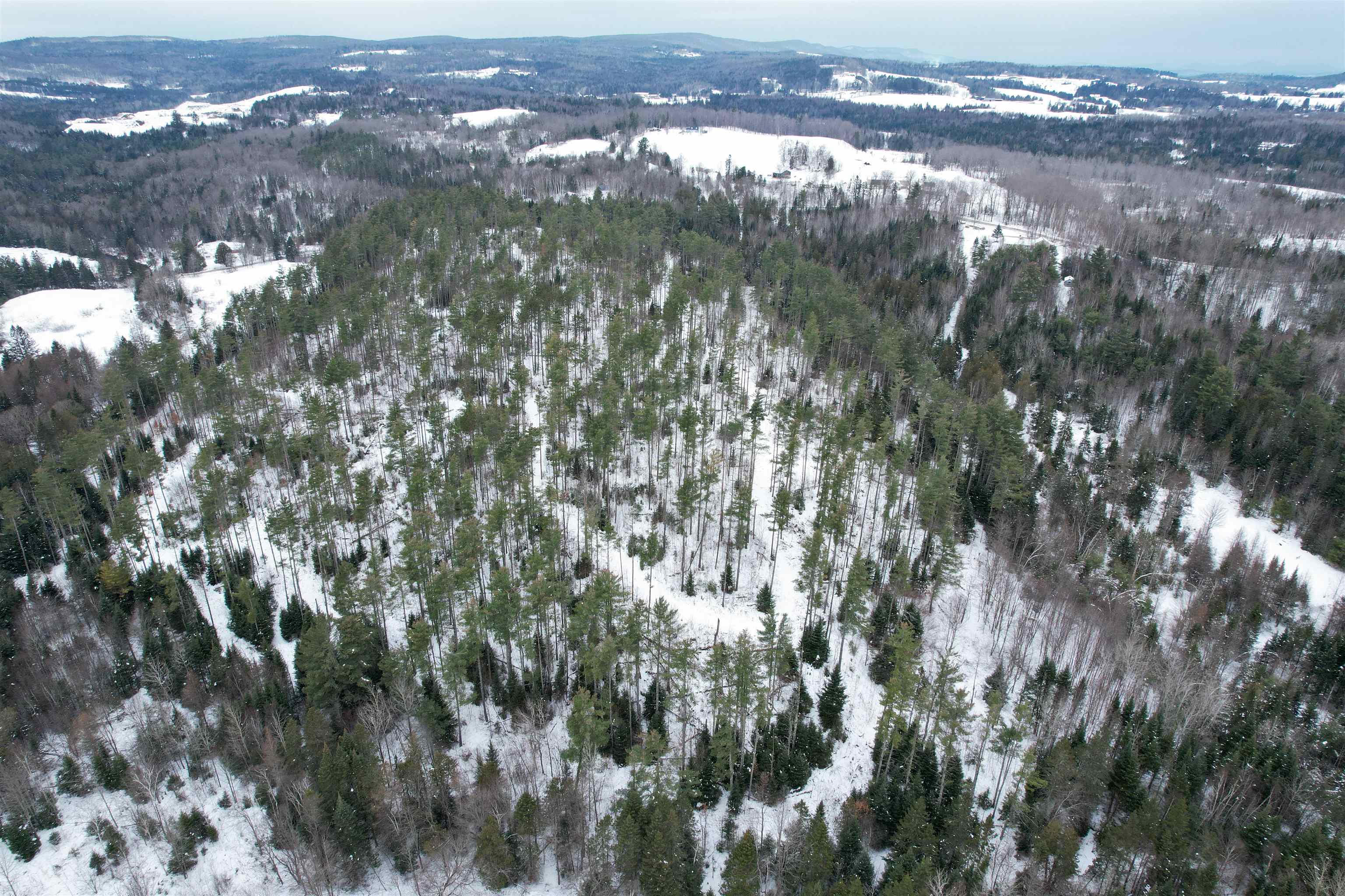 0 Oneida Road Danville, VT 05828 - Photo 8 of 14