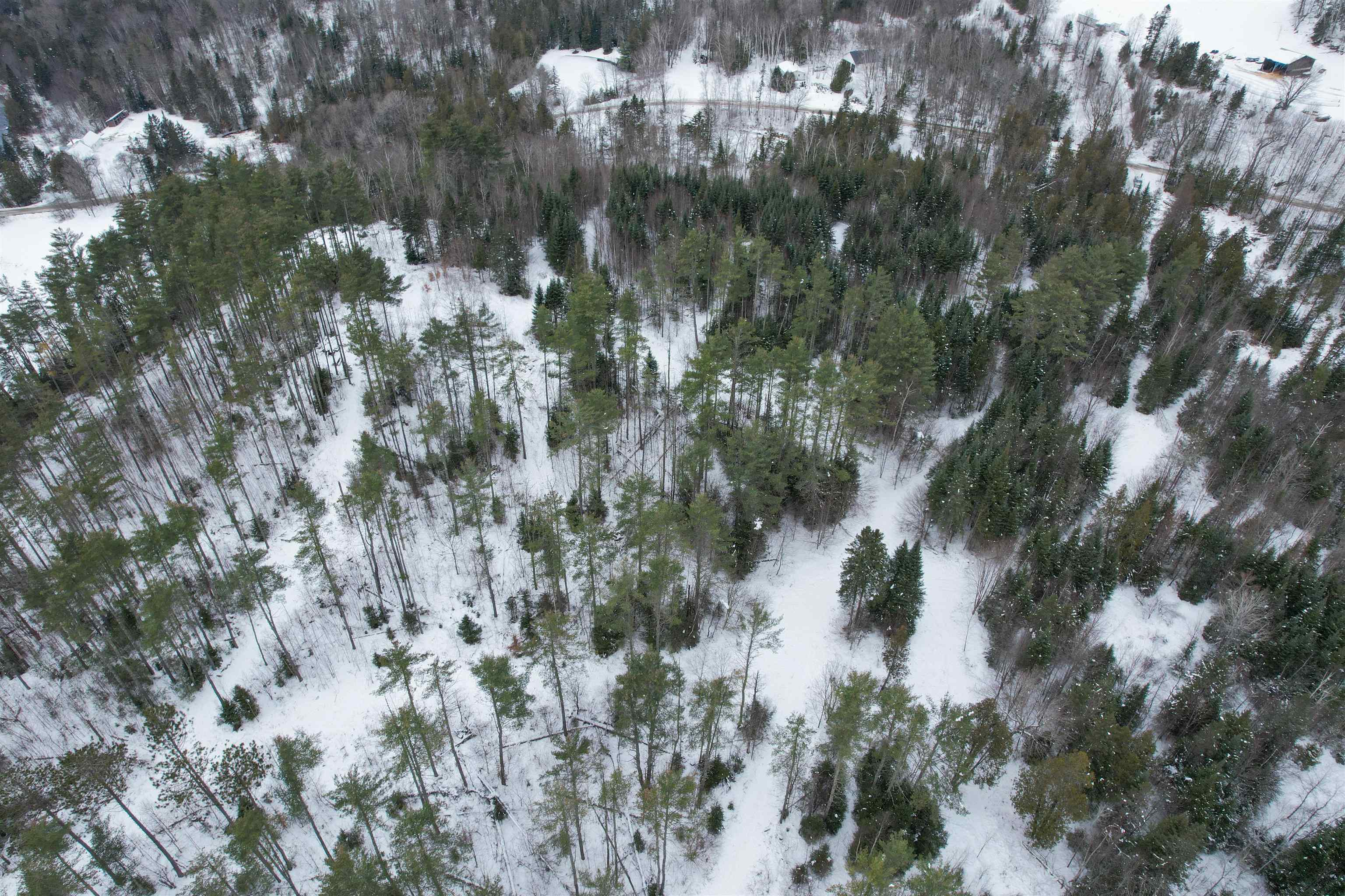 0 Oneida Road Danville, VT 05828 - Photo 9 of 14
