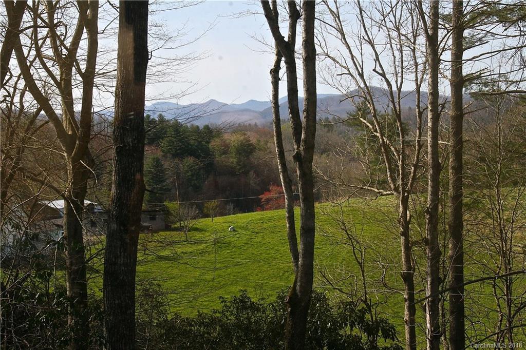 50 Timber Ridge Trail Brevard, NC 28712 - Photo 3 of 22 Gallery Image 3