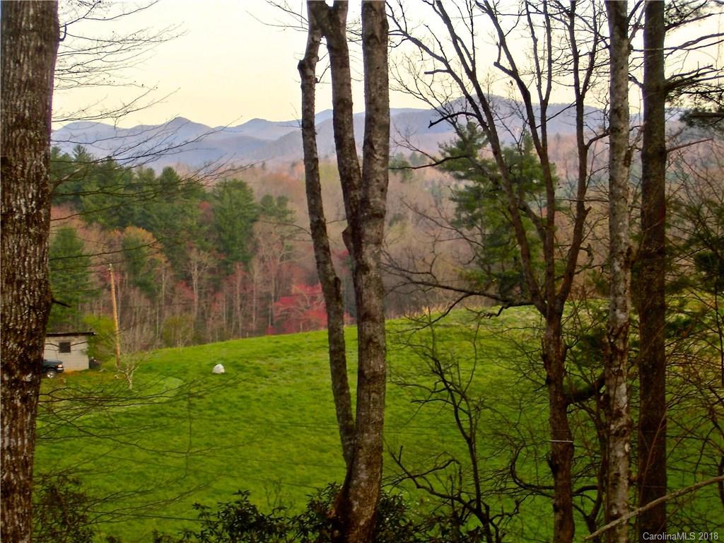 50 Timber Ridge Trail Brevard, NC 28712 - Photo 22 of 22 Gallery Image 22