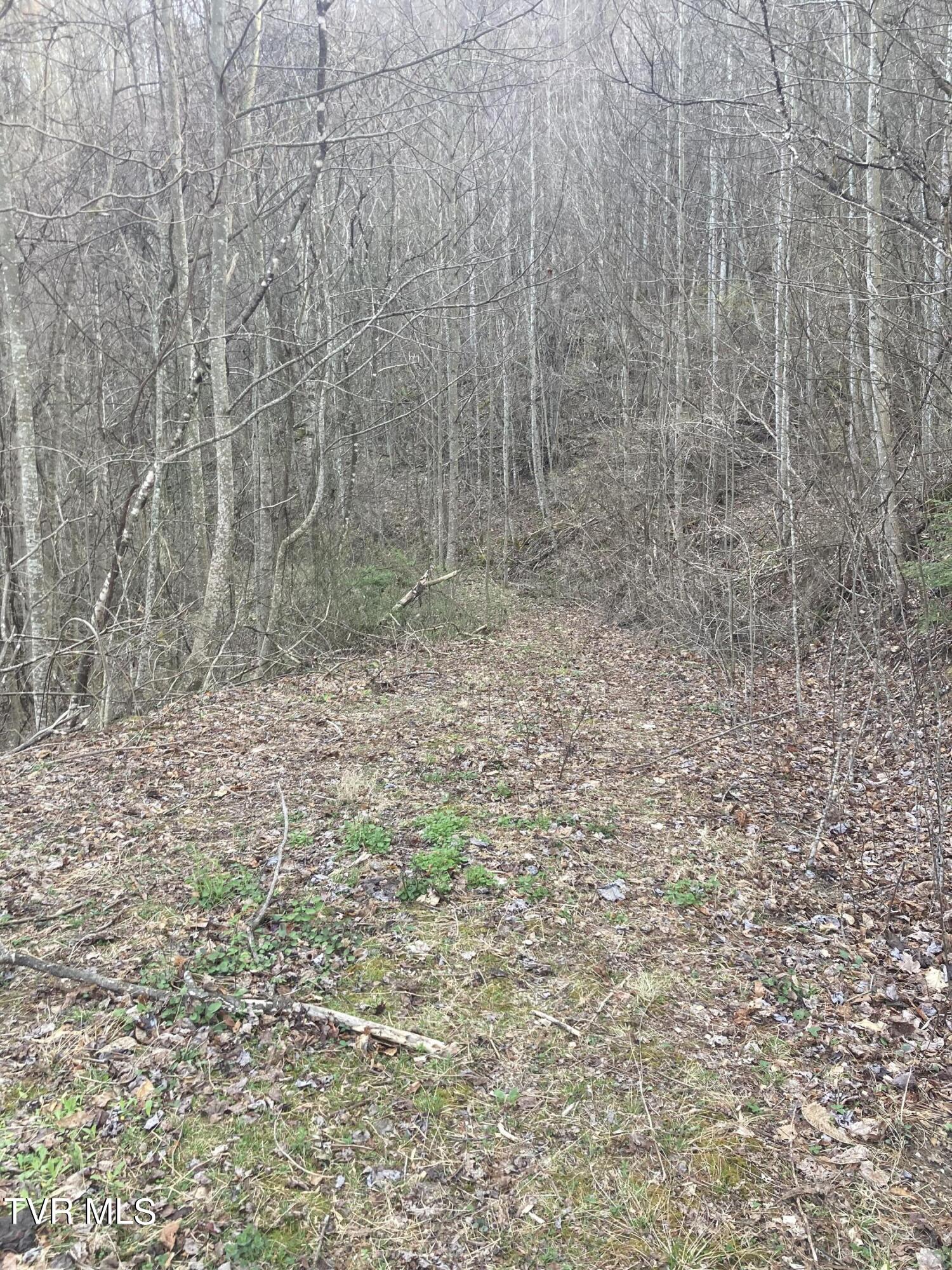 1008 Locust Lane, Unit 38 Butler, TN 37640 - Photo 5 of 12 Lot 38 5