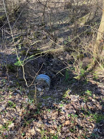 $75,000 | 1008 Locust Lane, Unit 38, Butler, TN 37640