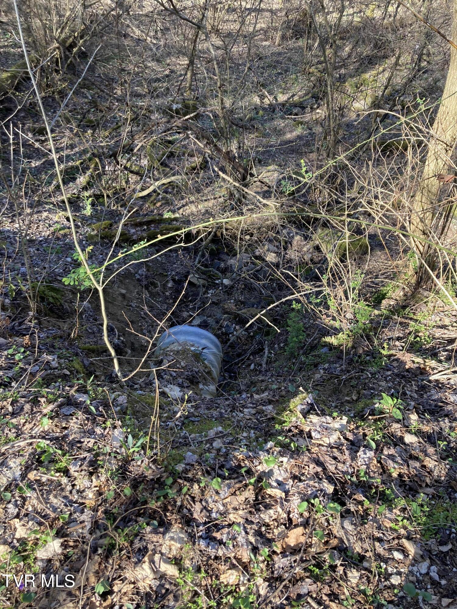 1008 Locust Lane, Unit 38 Butler, TN 37640 - Photo 6 of 12 Lot 38