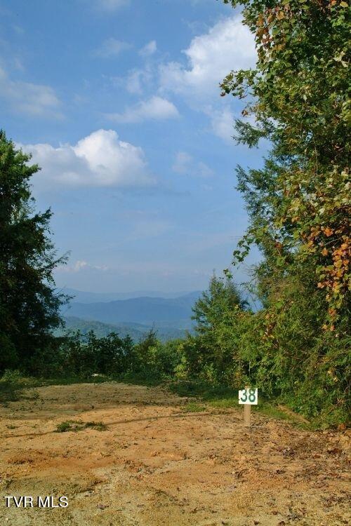 1008 Locust Lane, Unit 38 Butler, TN 37640 - Photo 7 of 12 Lot 38 - House seat (1)