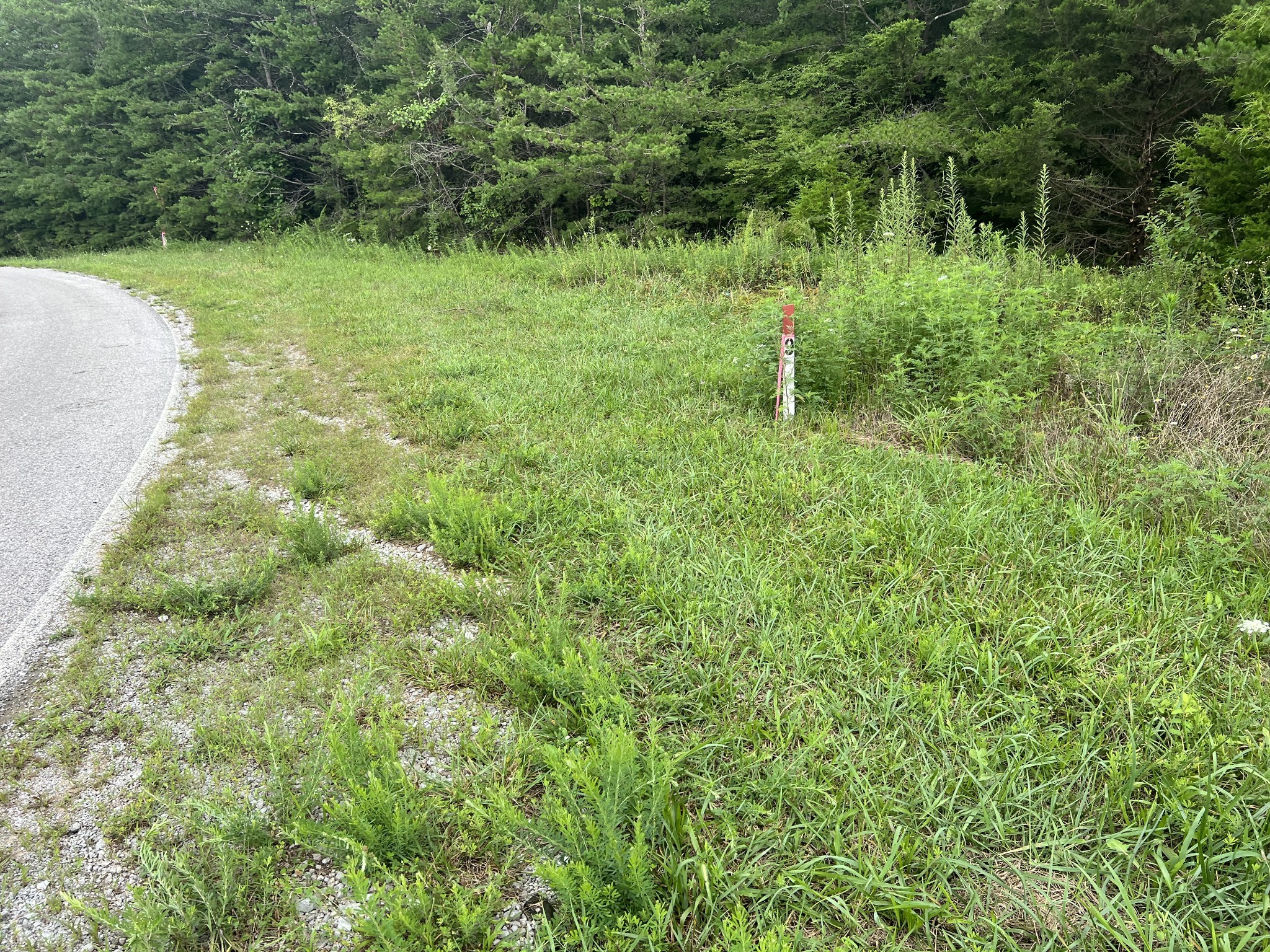 0 Coal Road Jamestown, TN 38556 - Photo 20 of 27 Gallery Image 20