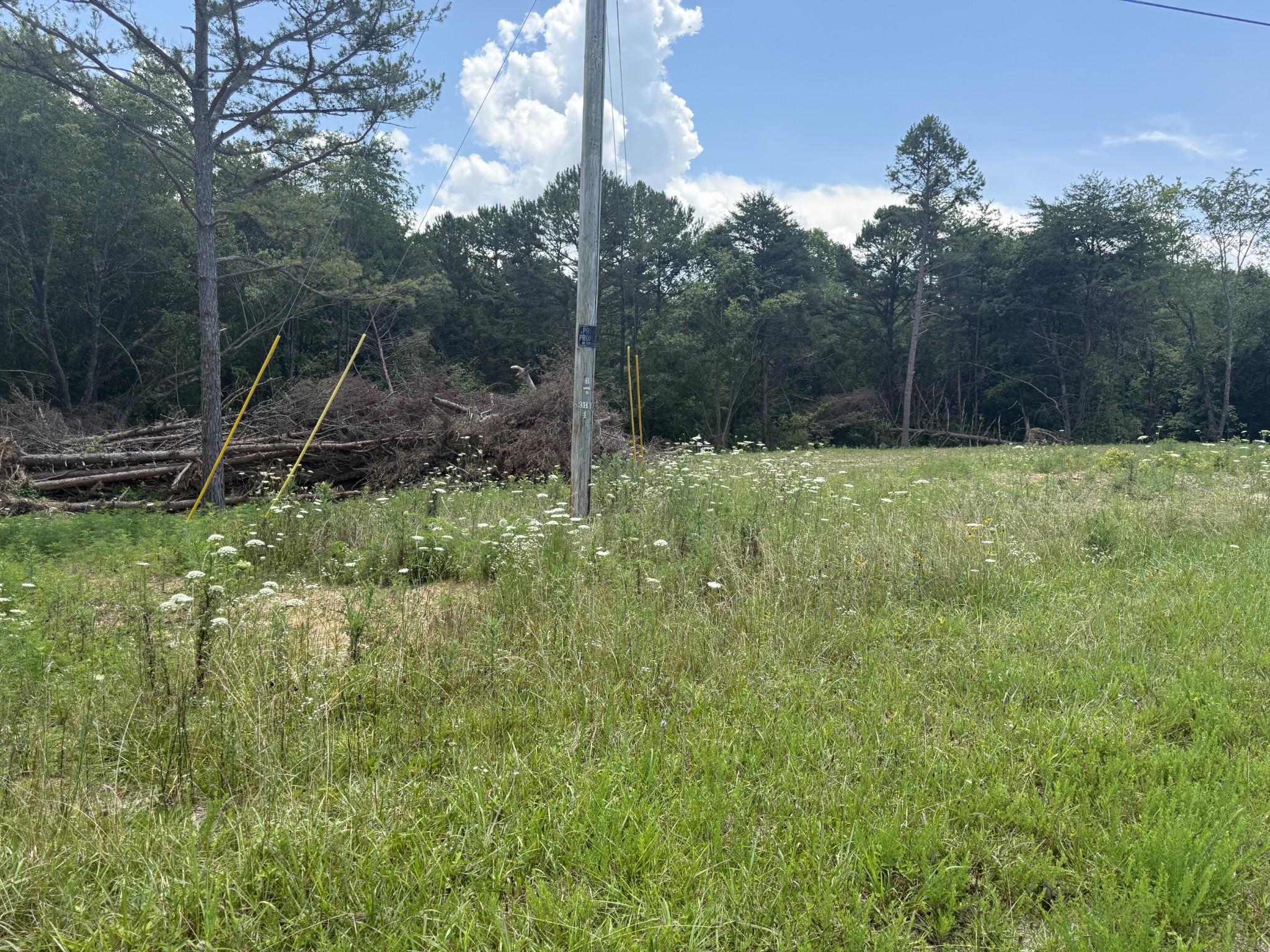 0 Coal Road Jamestown, TN 38556 - Photo 8 of 27 Gallery Image 8