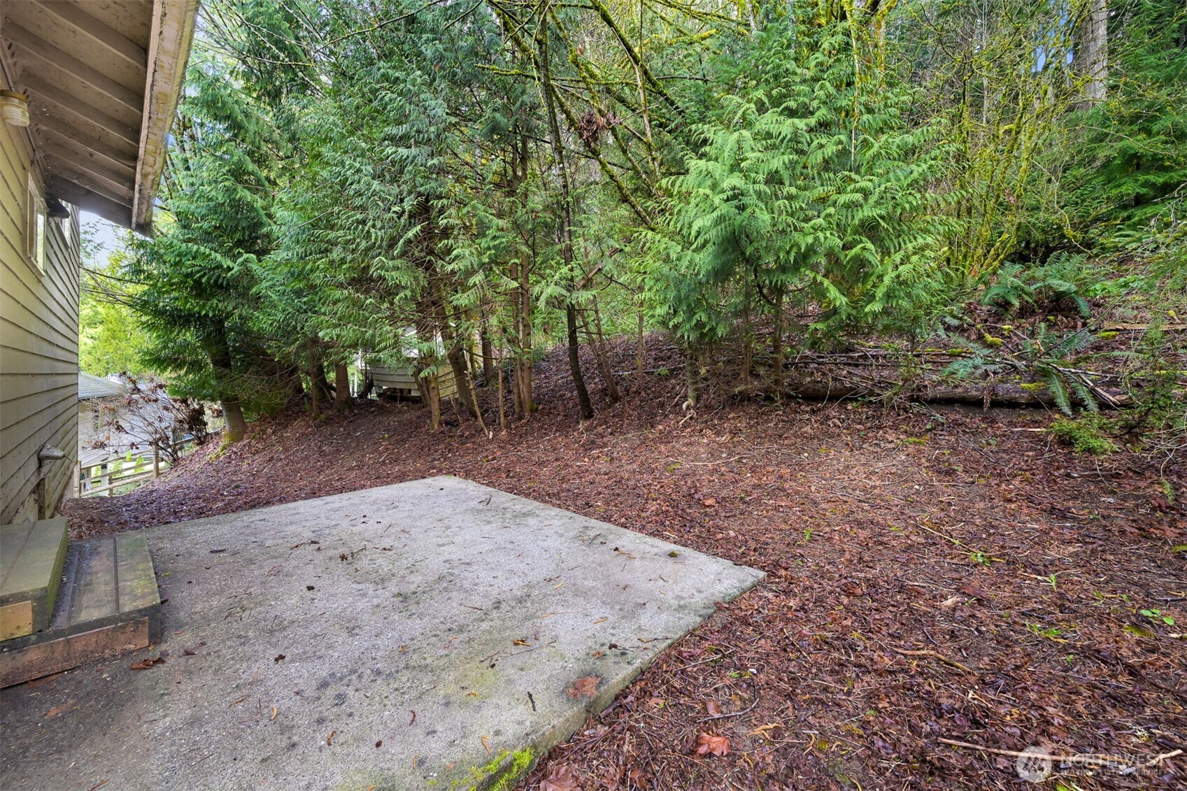 372 Sudden Valley Drive Bellingham, WA 98229 - Photo 20 of 20 a view of a yard with plants and trees