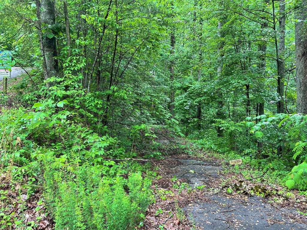 8 Burning Tree Lane Sevierville, TN 37862 - Photo 1 of 3