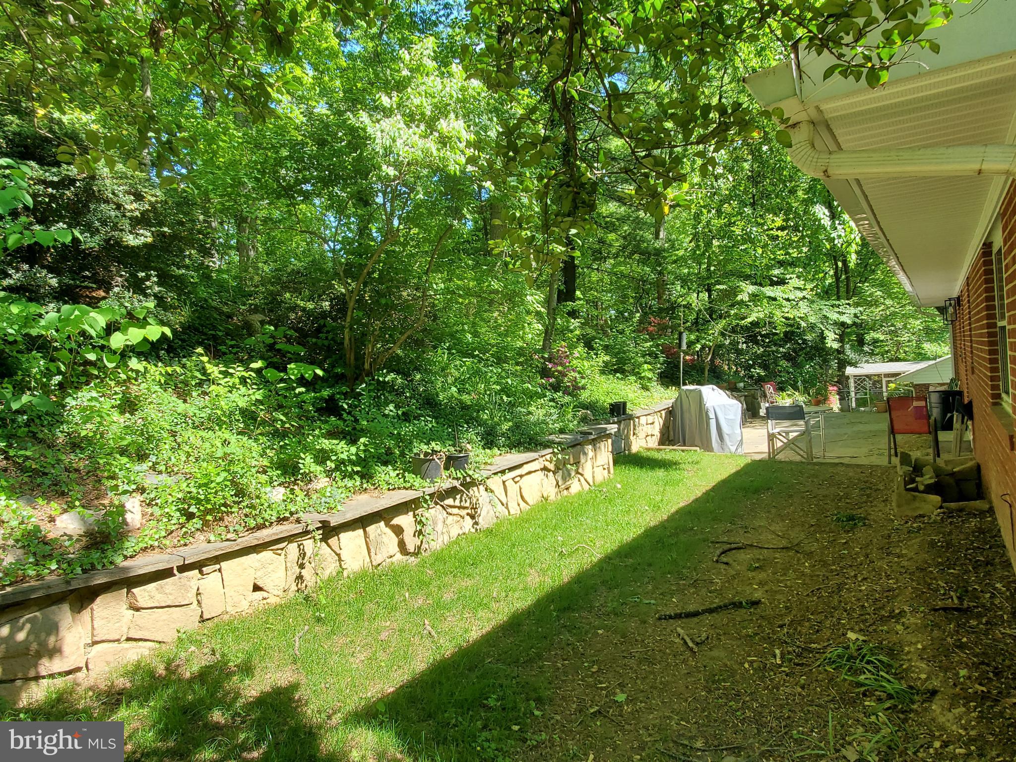 3719 Military Road Arlington, VA 22207 - Photo 3 of 19