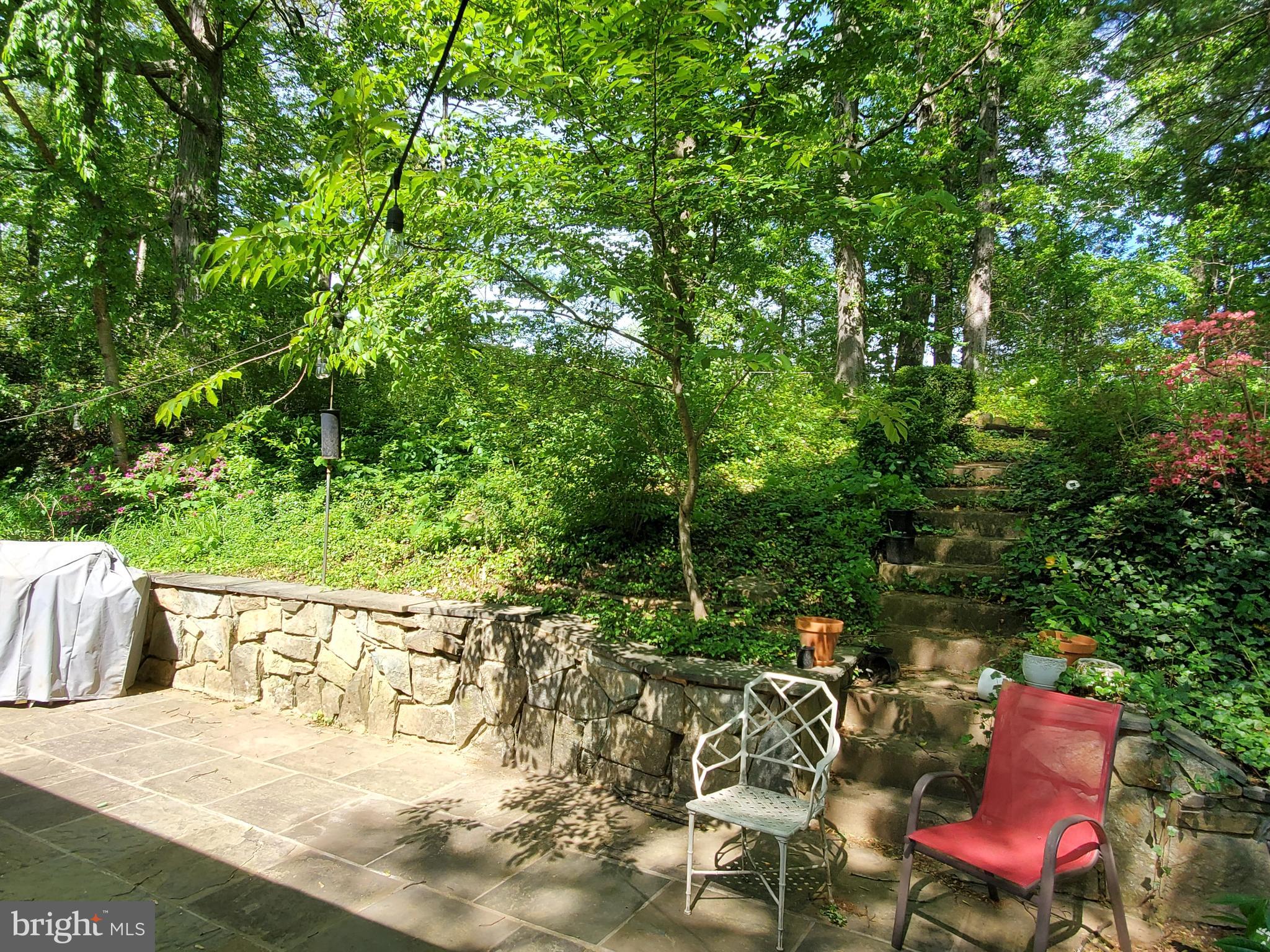 3719 Military Road Arlington, VA 22207 - Photo 5 of 19