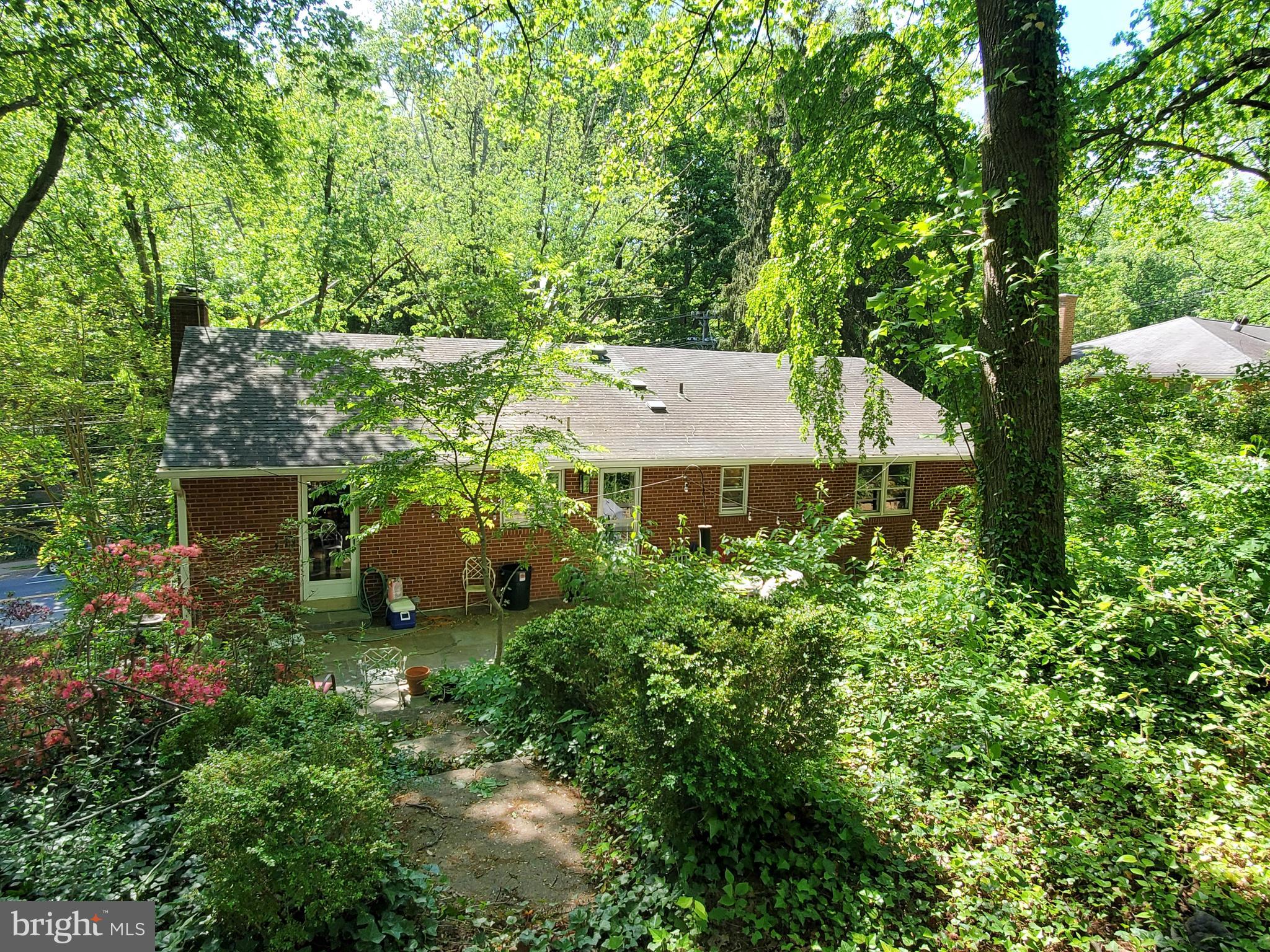 3719 Military Road Arlington, VA 22207 - Photo 6 of 19