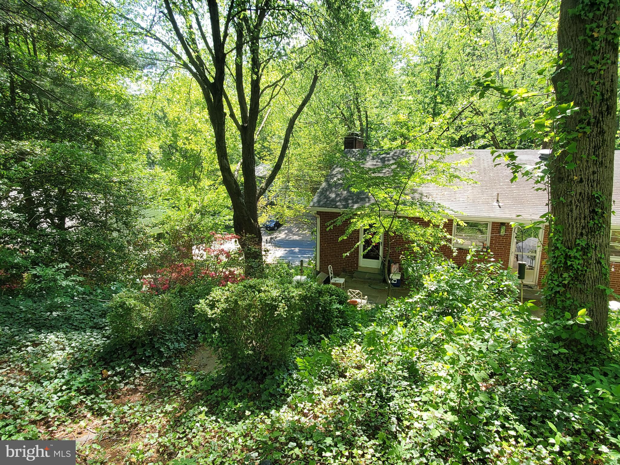 3719 Military Road Arlington, VA 22207 - Photo 7 of 19