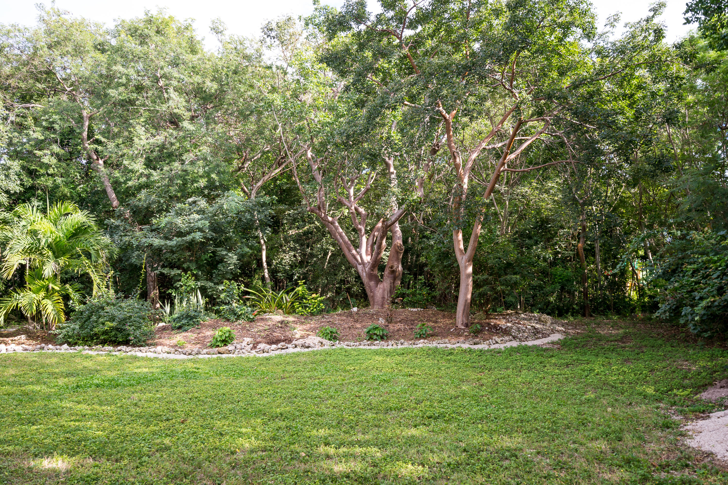 149 Sterling Road Tavernier, FL 33070 - Photo 72 of 80 20140102-DSC04550