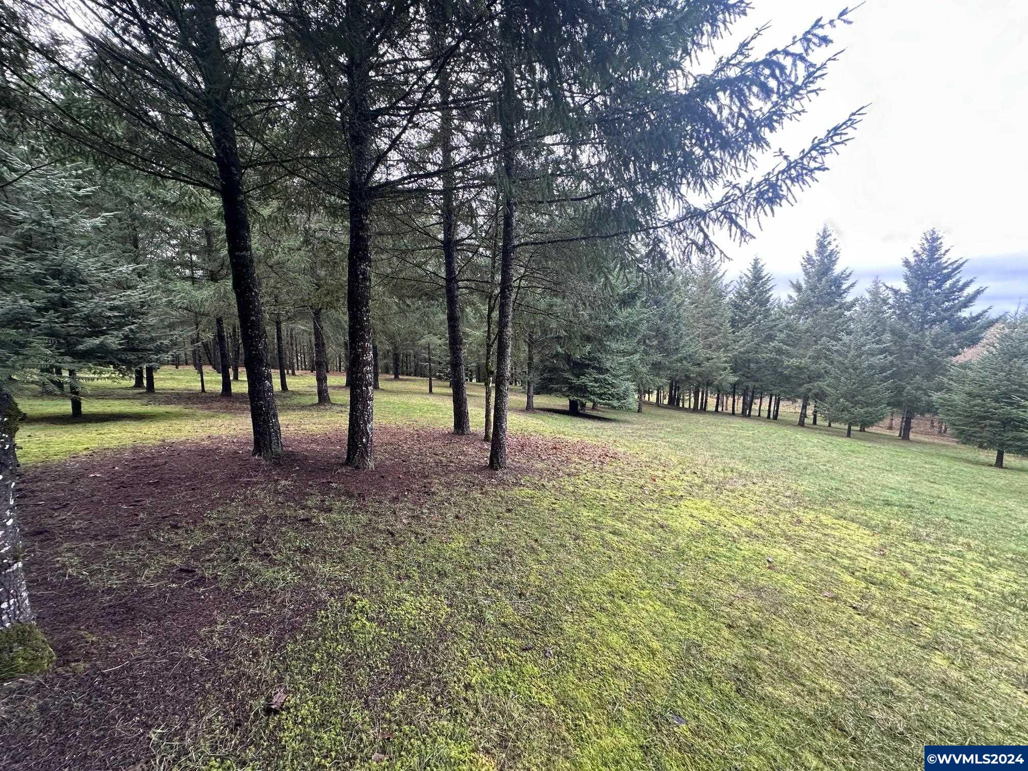 Tl#436096 May Road Dallas, OR 97338 - Photo 12 of 17