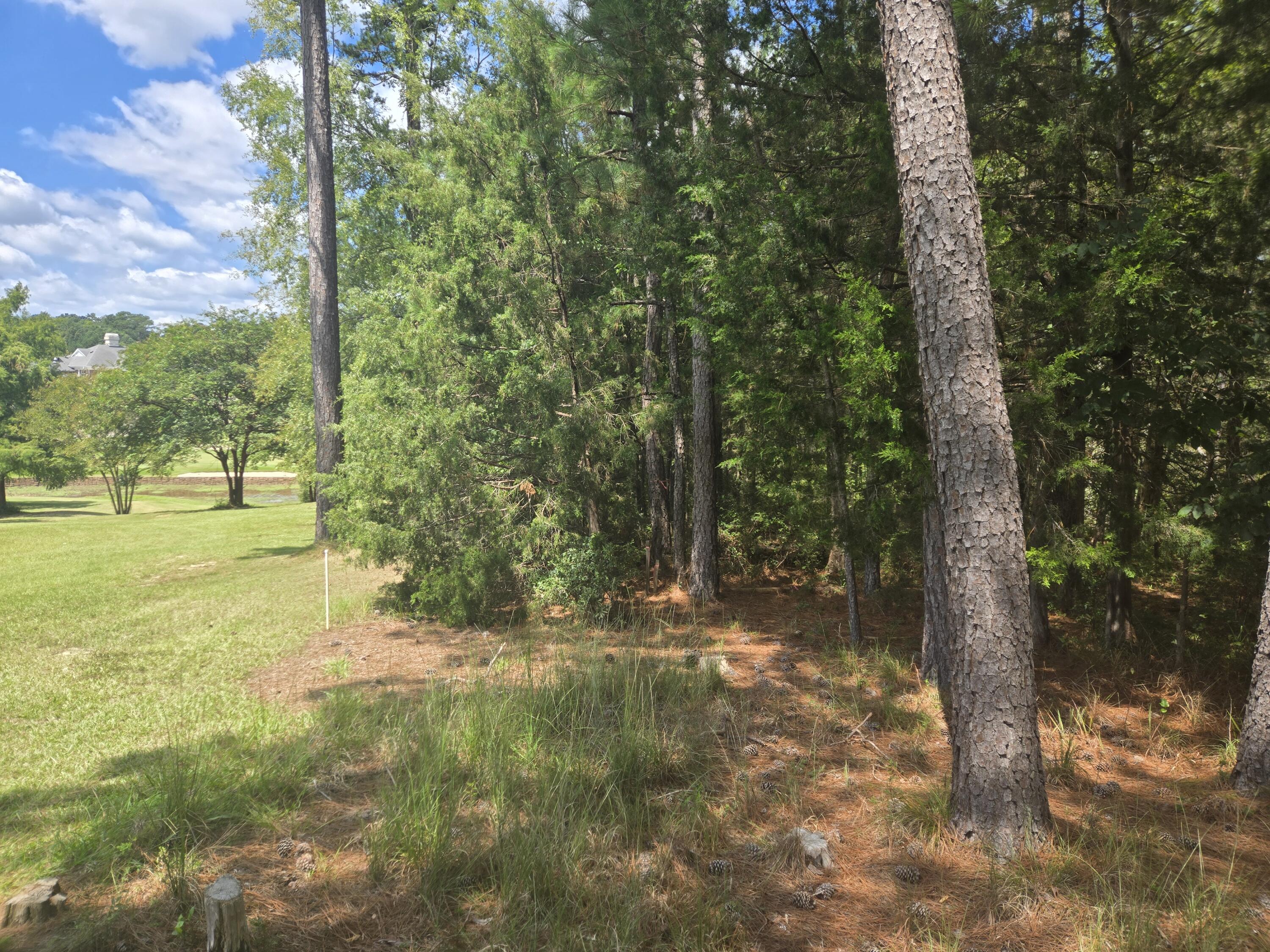 110 Old Course Lane McCormick, SC 29835 - Photo 3 of 16 20250902_132950