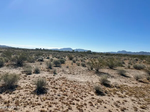a view of a dry yard with trees
