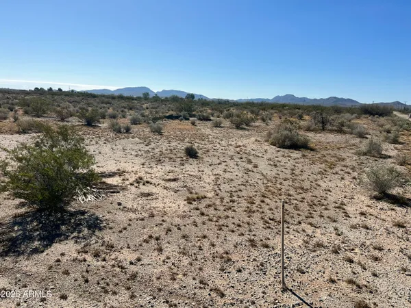 a view of a dry field with mountains in the background
