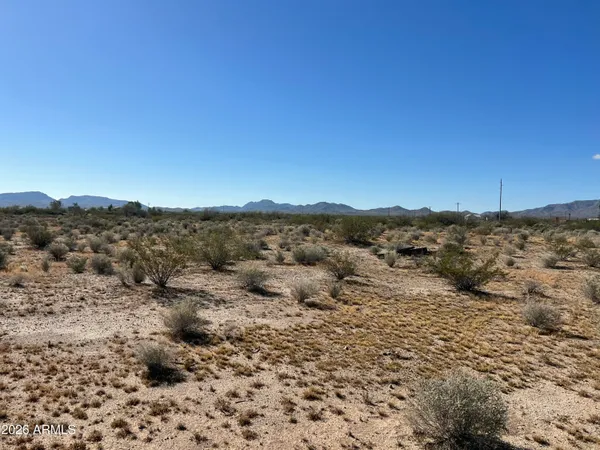 a view of a dry yard with mountains in the background
