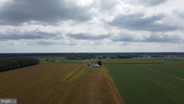 a view of a city and lake