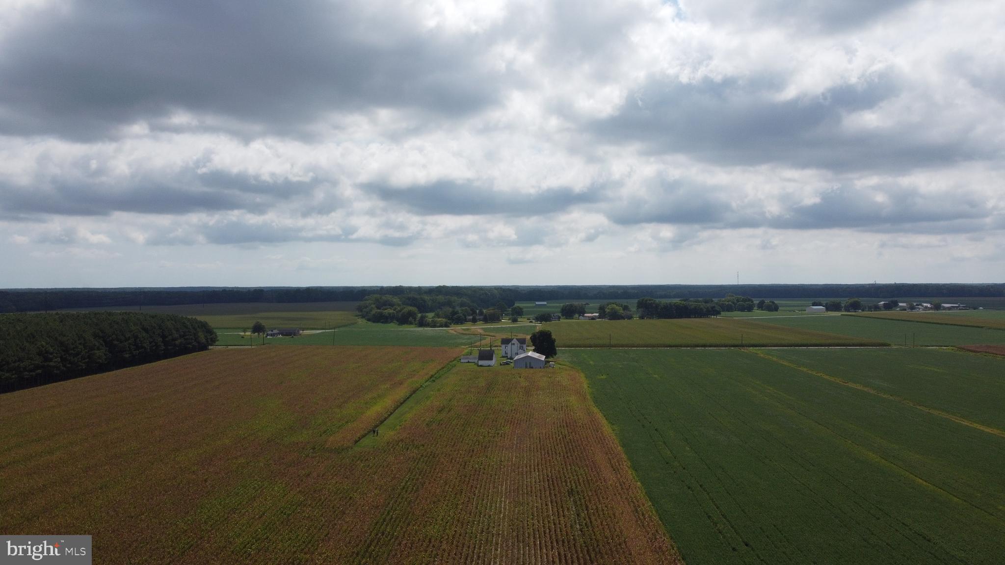 a view of a city and lake