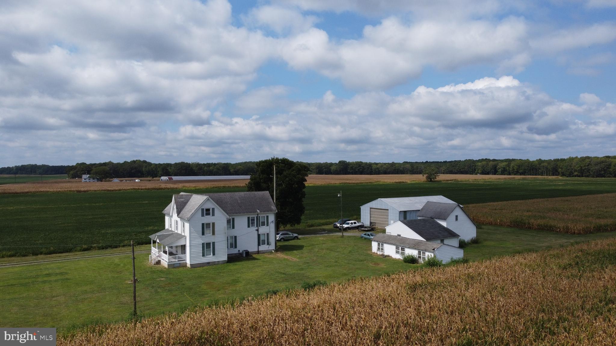 5449 Shell Road Snow Hill, MD 21863 - Photo 12 of 45 a view of a lake with a big yard