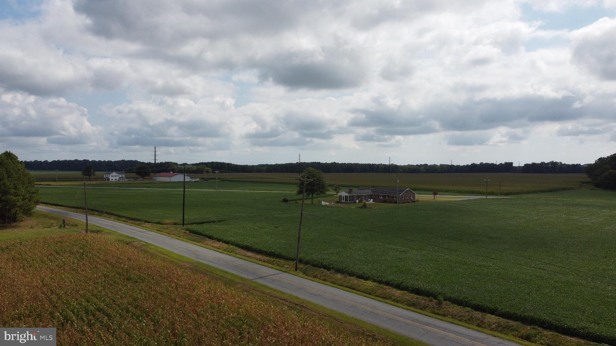 5449 Shell Road Snow Hill, MD 21863 - Photo 13 of 45 a view of a terrace