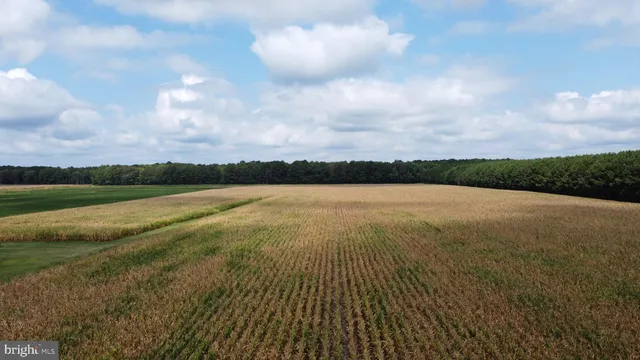 a view of a lake with houses in the back